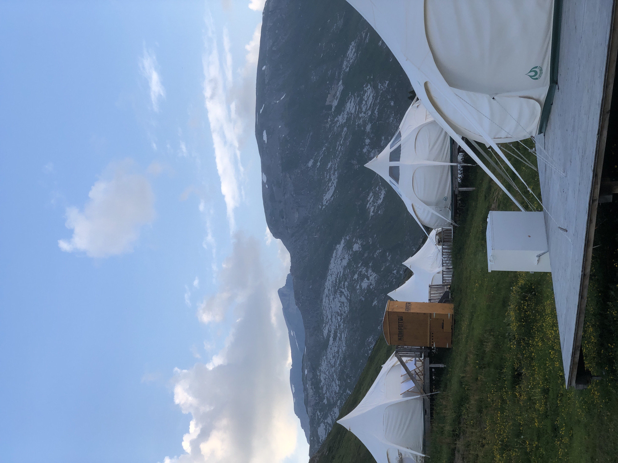 Lazy alpine afternoon in Laax — grazing cows, cold beers, mountain views