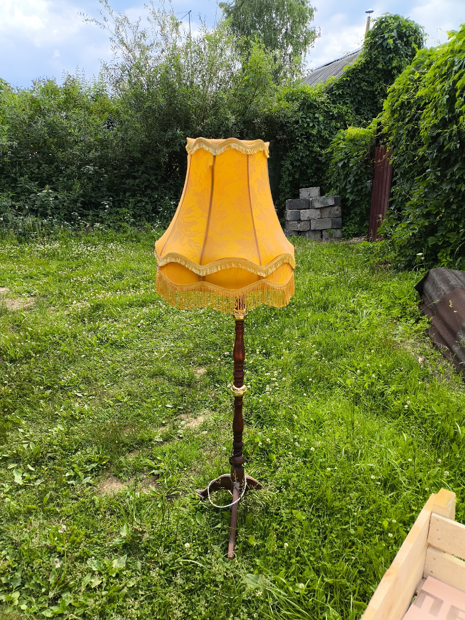 Vintage lamp spotted in overgrown yard near algae pond