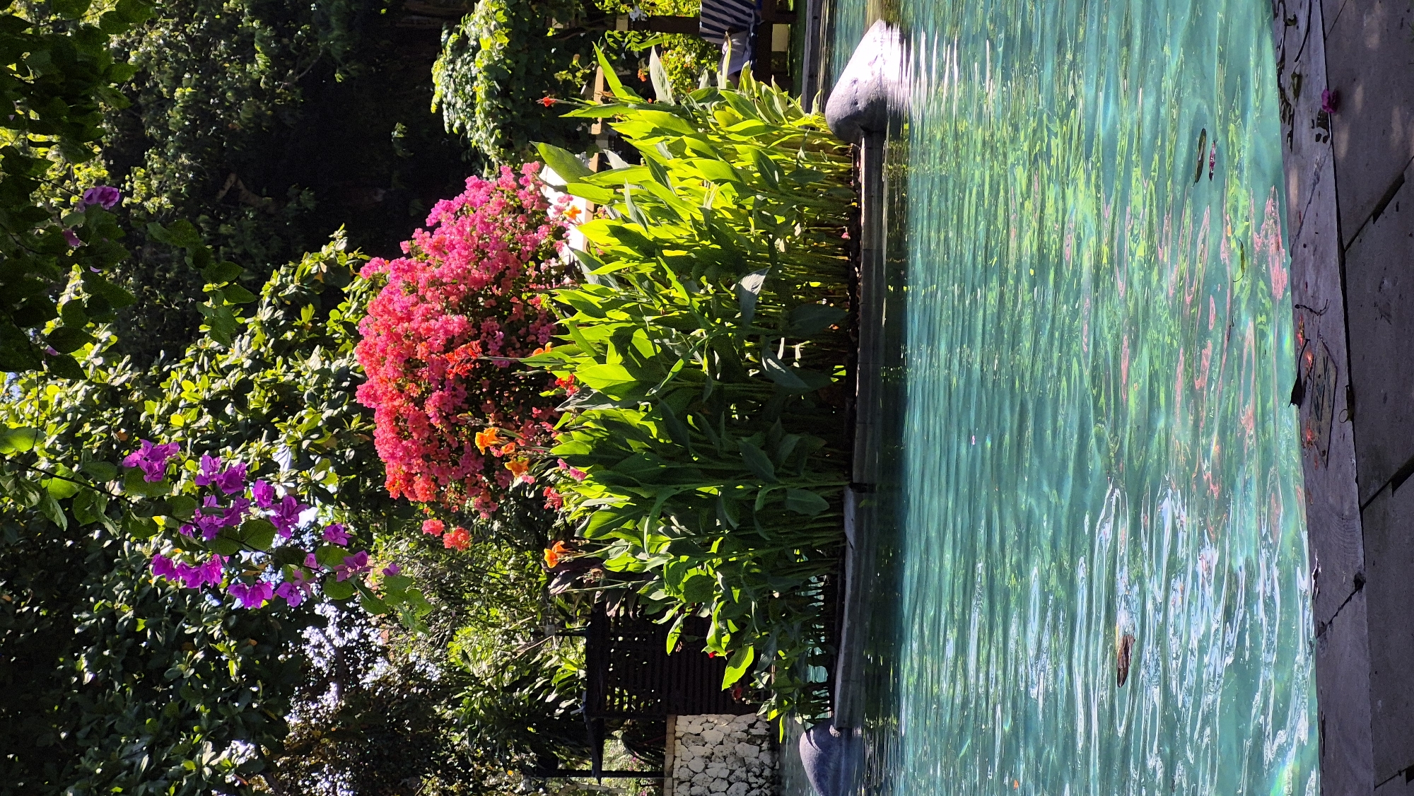 Lazy poolside morning with plumeria flowers in Kuta Selatan