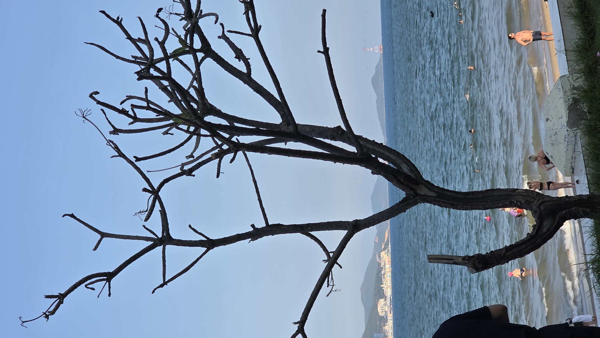 Morning life documented across busy Nha Trang beaches and streets