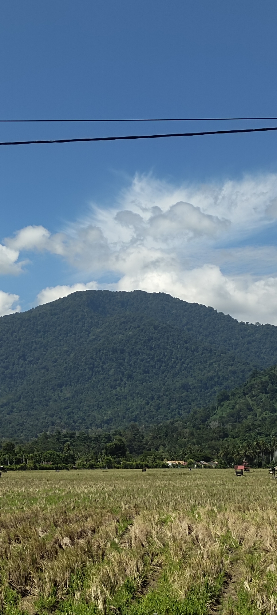 Rice paddies and mountain backdrop in rural Aceh