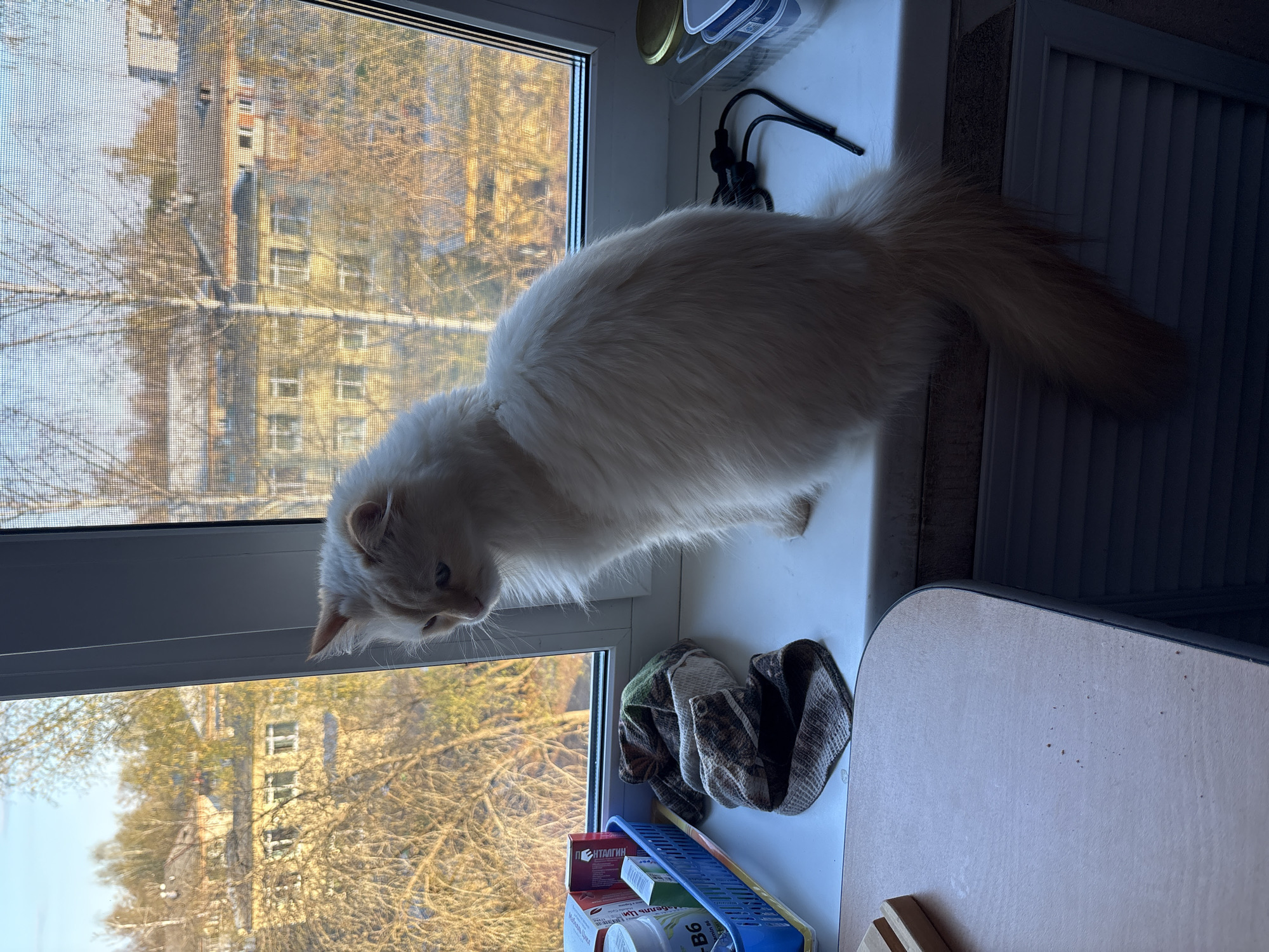 Early morning domestic routine documented in Chaikovsky, Russia
