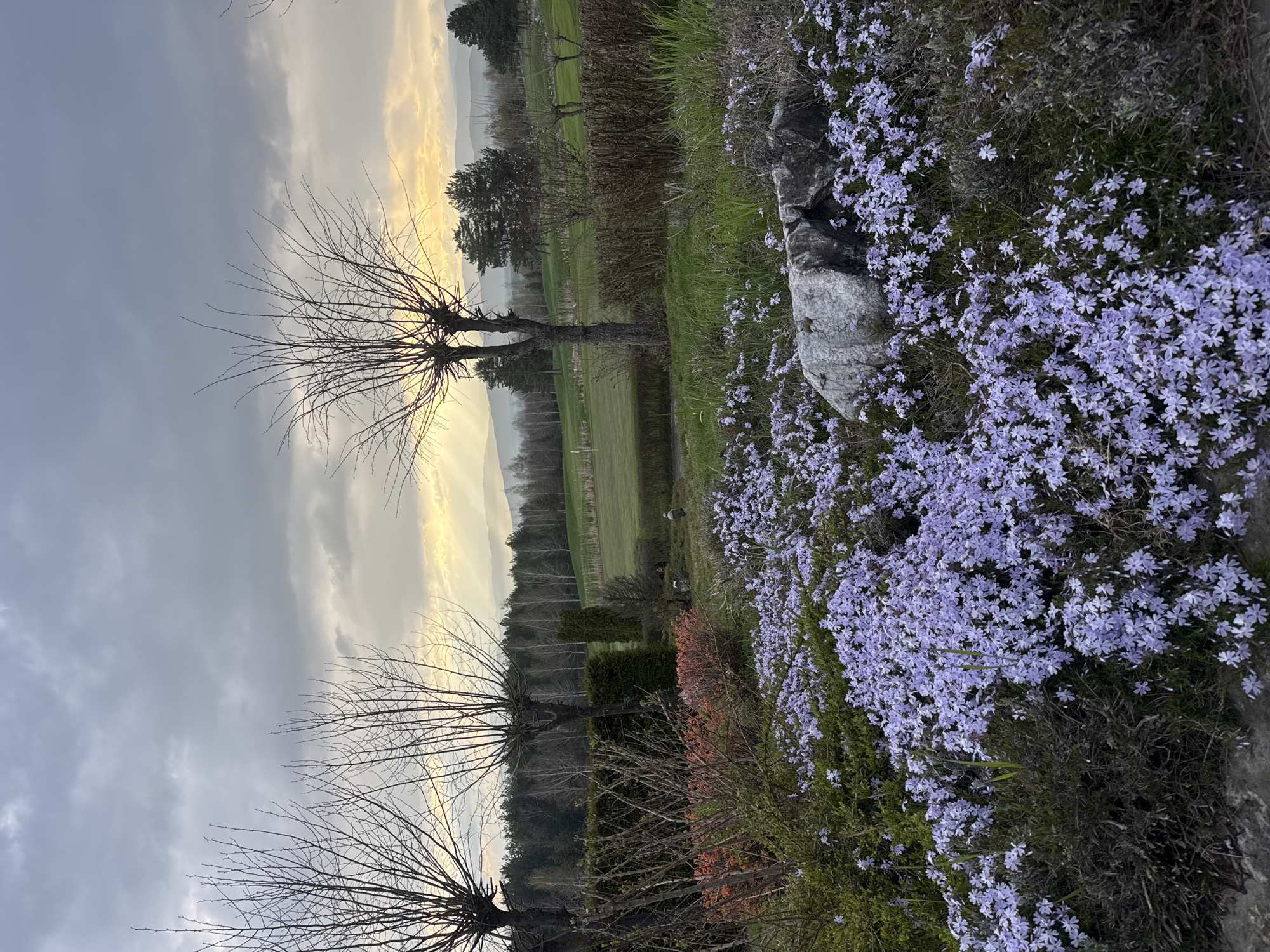 Spring blooms and golf carts observed at Bulgarian country club
