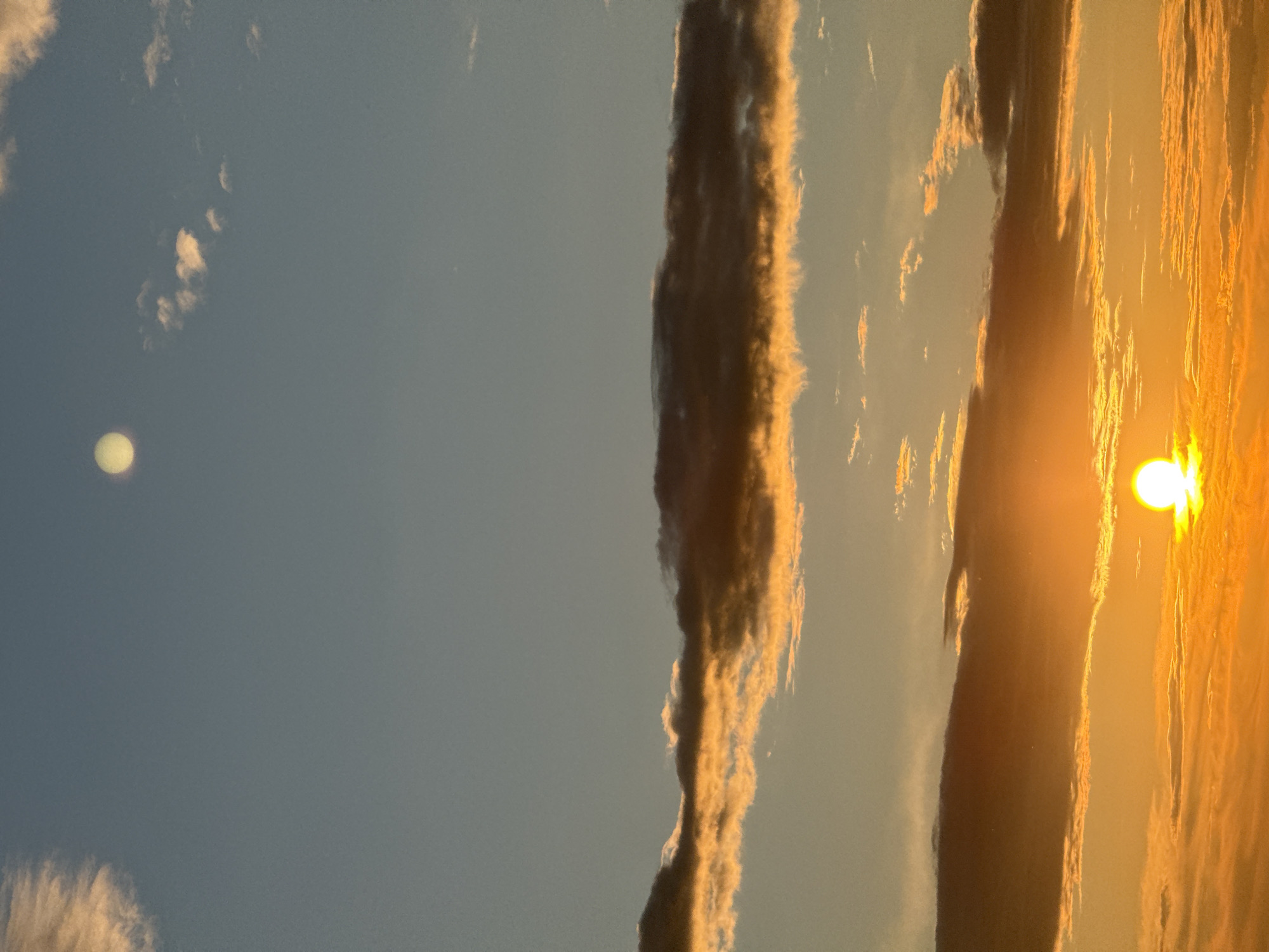 Sunset, birds on wires, and a sleeping cat — a quiet afternoon.