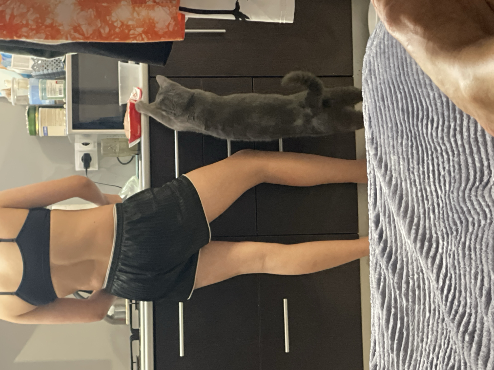 Person plays with gray cat in Sochi apartment kitchen