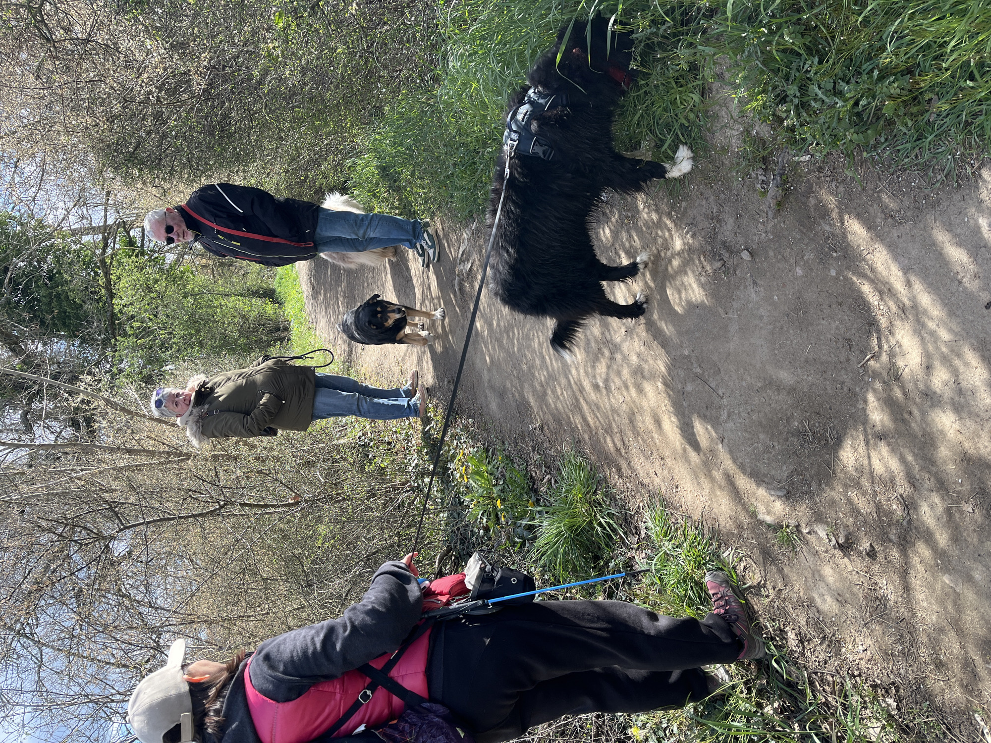 Outdoor recreation activities observed in Saint-Galmier park area
