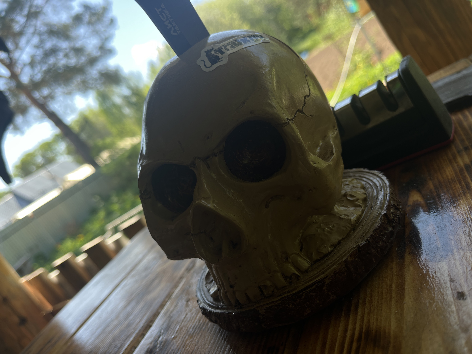 Gothic punk displays featuring skulls masks anarchist banner observed