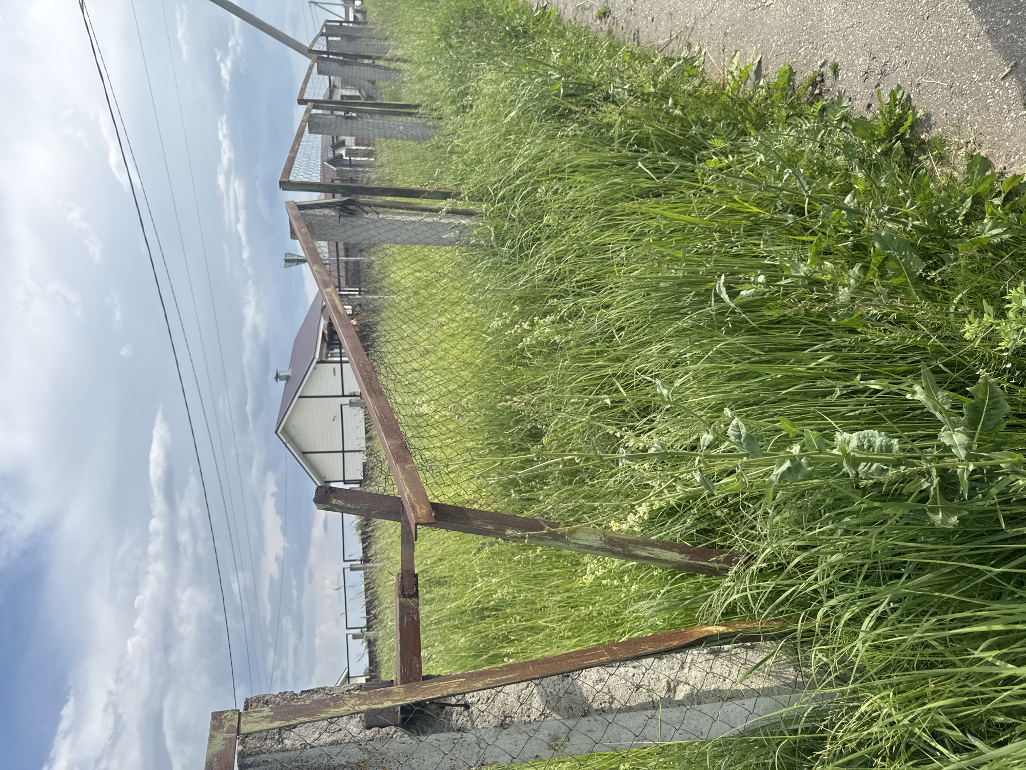 Strolling through Krasnye Baki's quiet residential streets on a summer afternoon