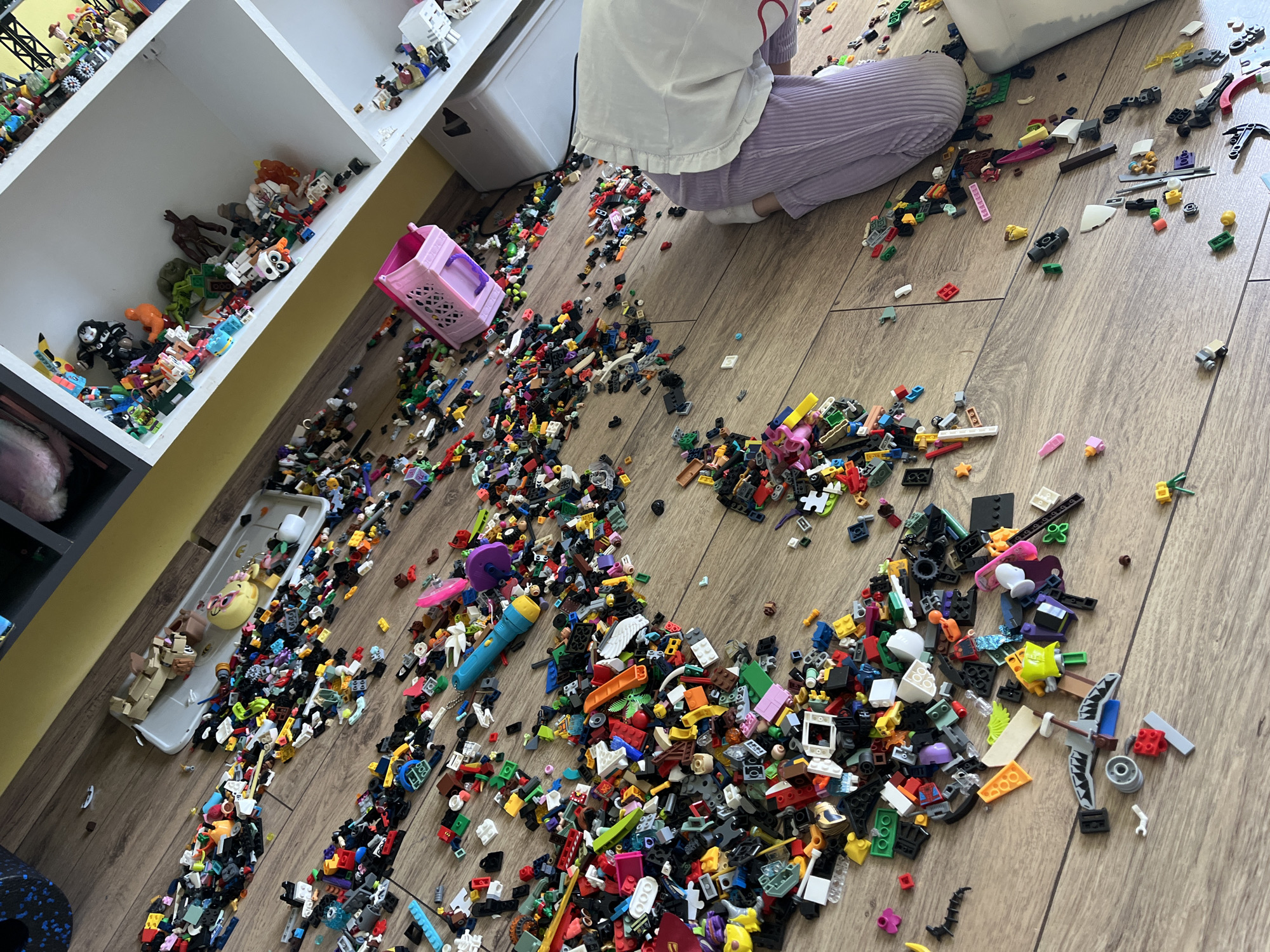 Child creates massive LEGO spread across playroom floor