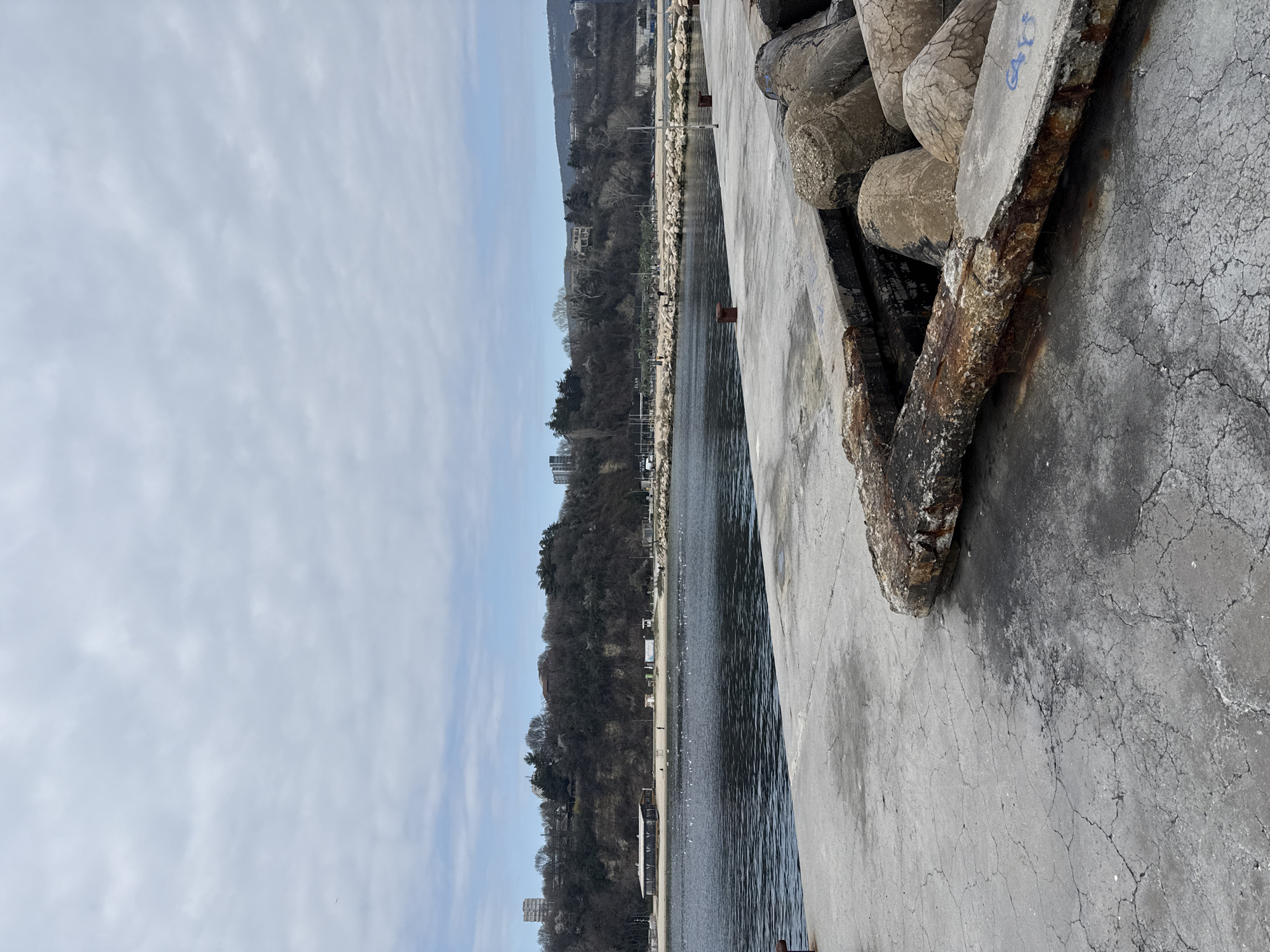 Visitor captures selfie at Varna beach amid cloudy weather