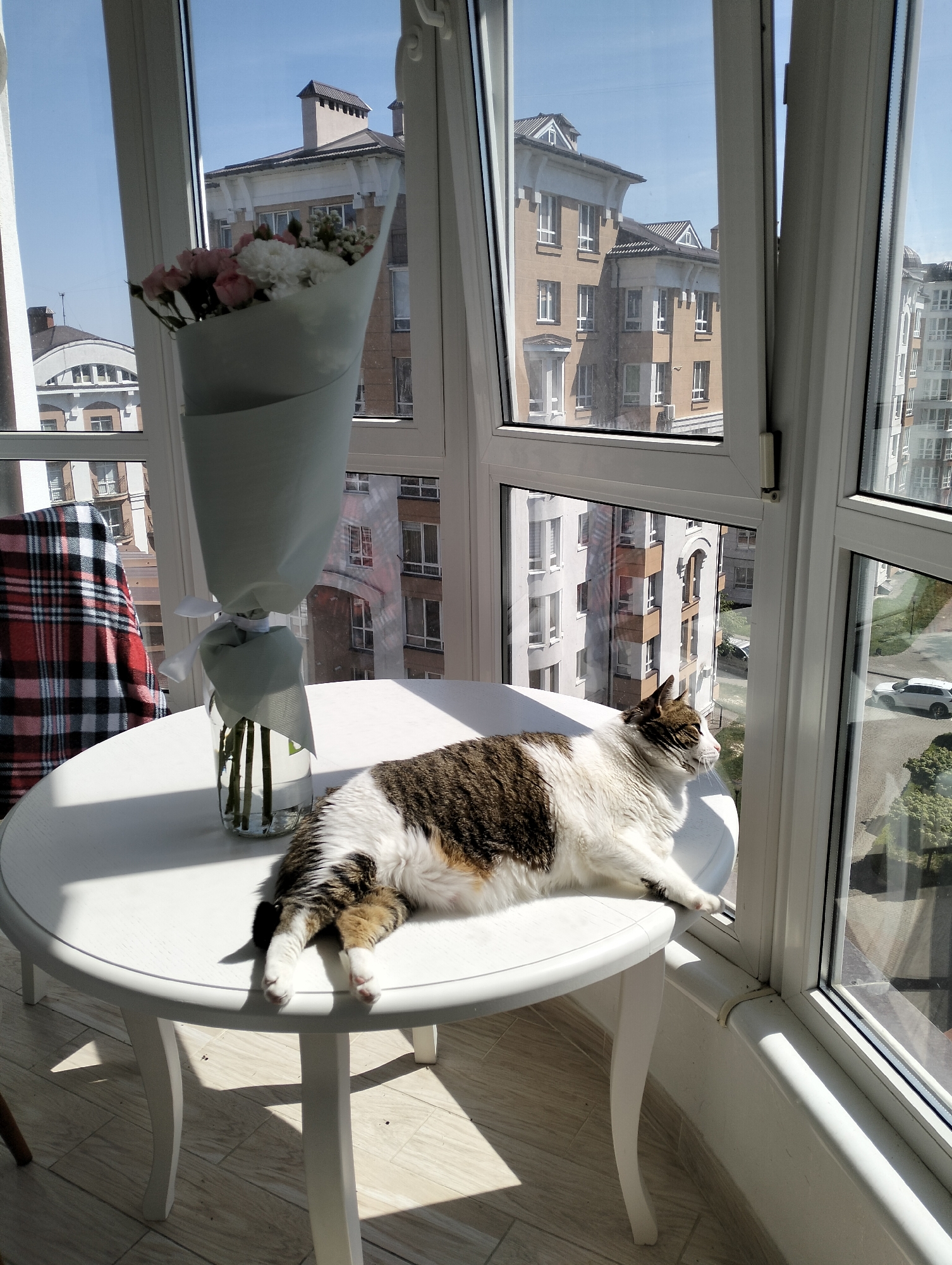 Spring morning scenes documented across Krykhivtsi, Ukraine neighborhoods