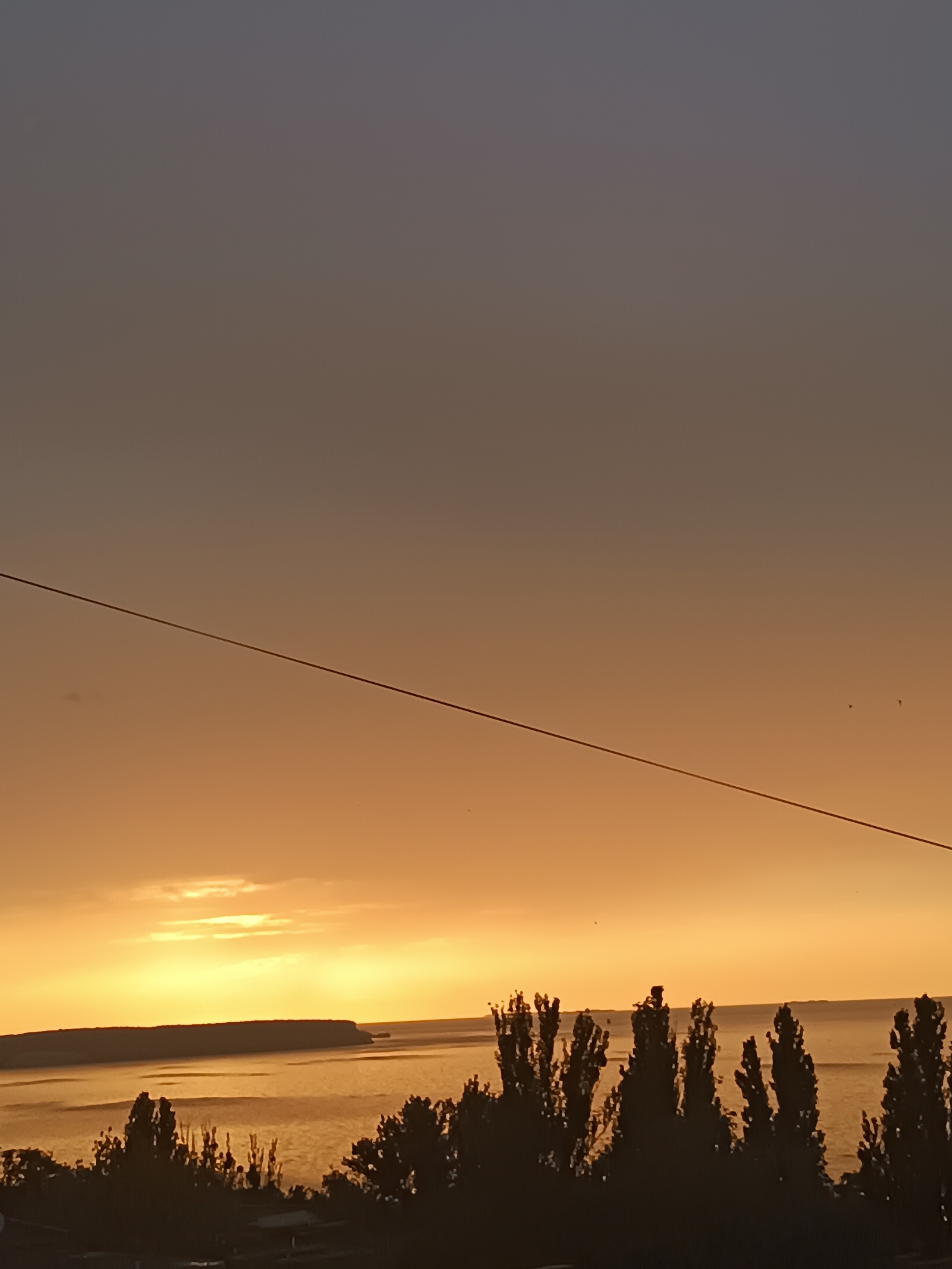 Sunset over Kremenchuk Reservoir, Svitlovodsk, with orchids nearby