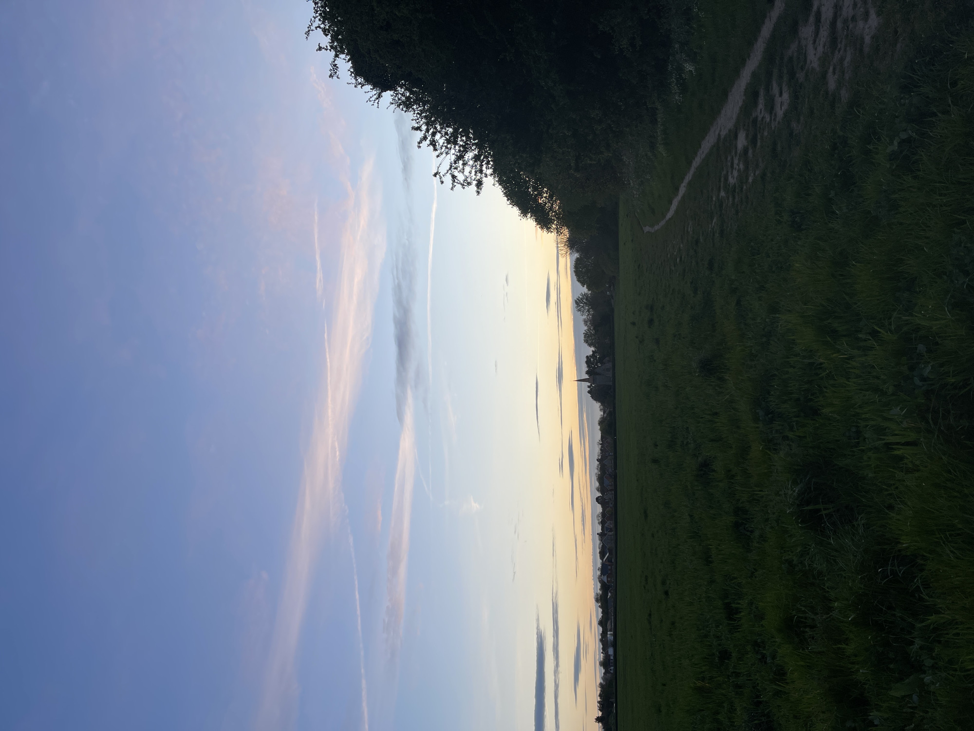 Evening dog walk documented across multiple Maidstone locations during twilight
