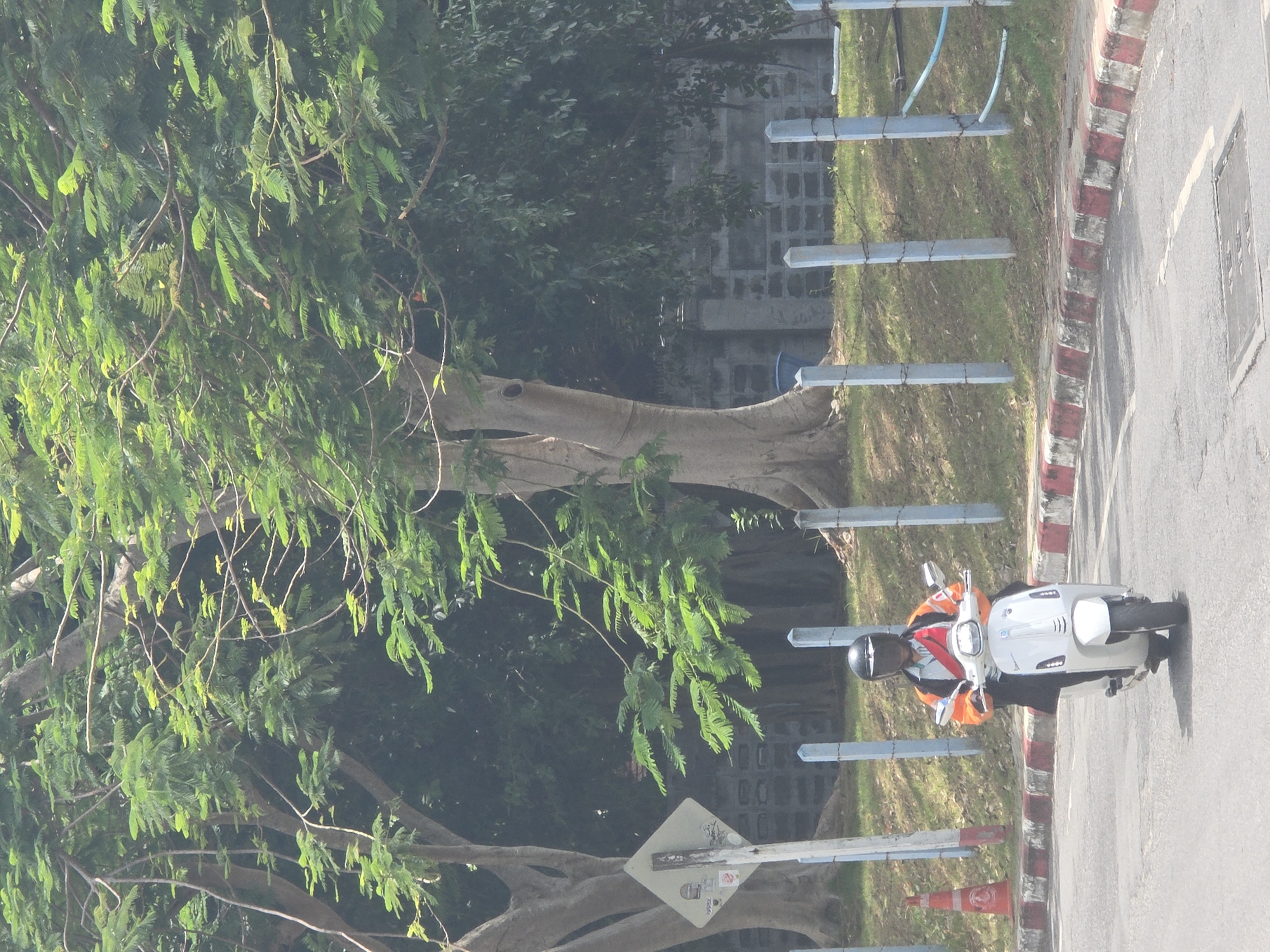 Everyday street activity along a Koh Samui commercial road