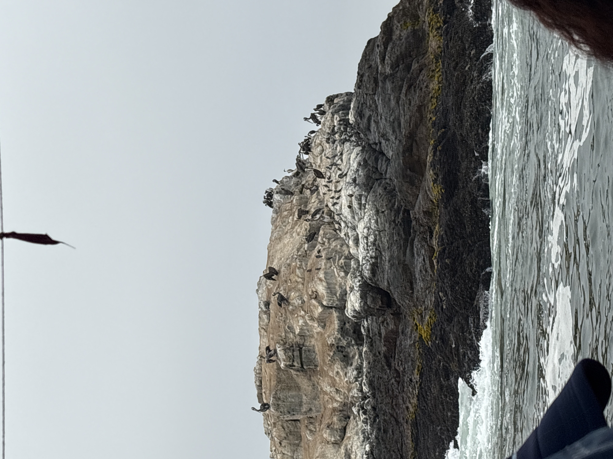 Tourist boat excursion visits seabird colonies off Ancón coast