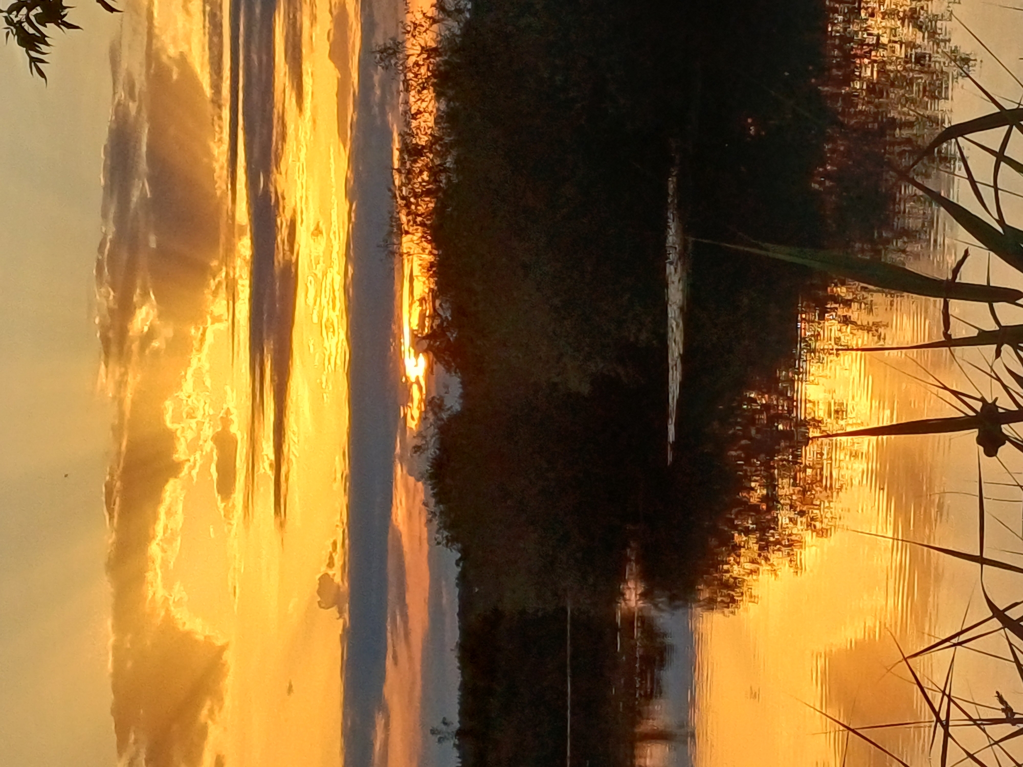 Golden hour on a Riga waterway, summer evening.