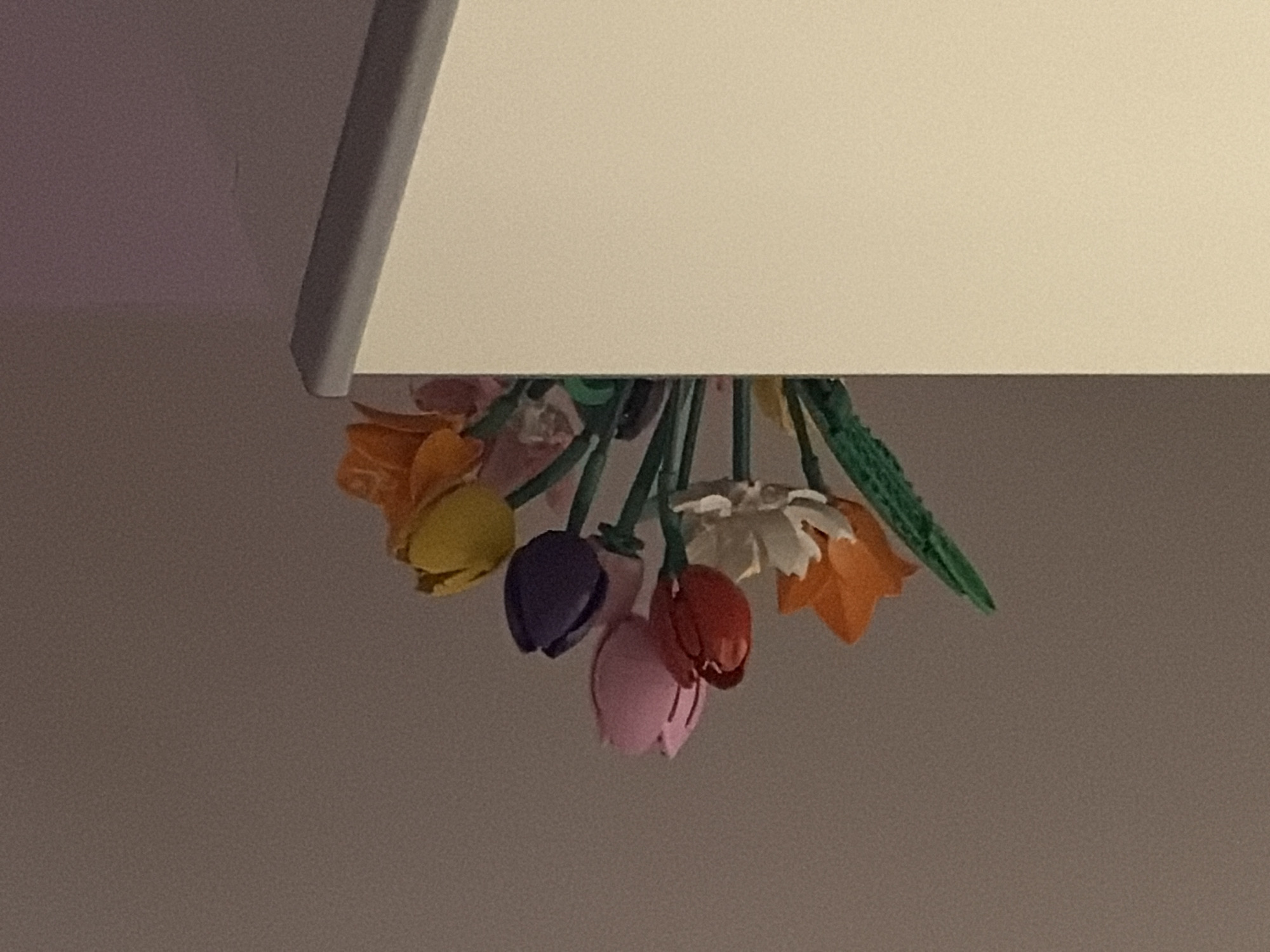 Late-night craft collection documented in Bulgarian home