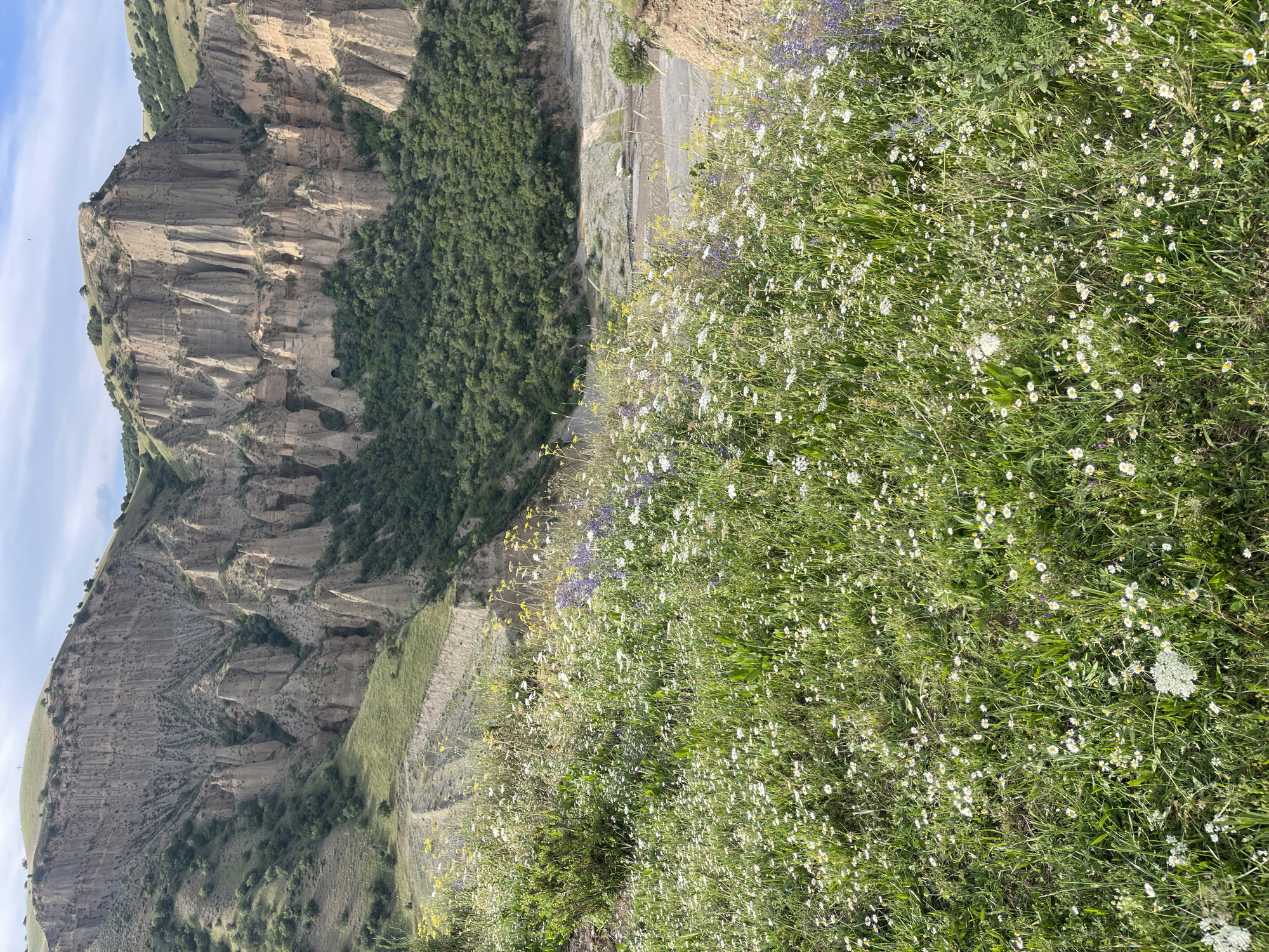 Dramatic cliffs and wildflower meadows at Taran-Bazar, Kyrgyzstan