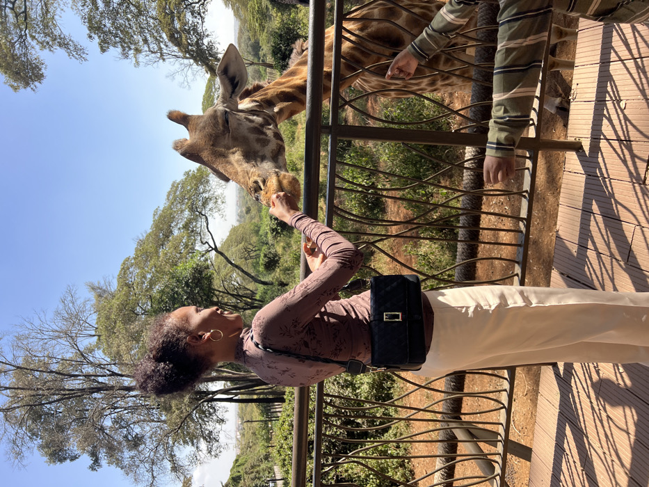 Visitors feed giraffes at Nairobi wildlife center