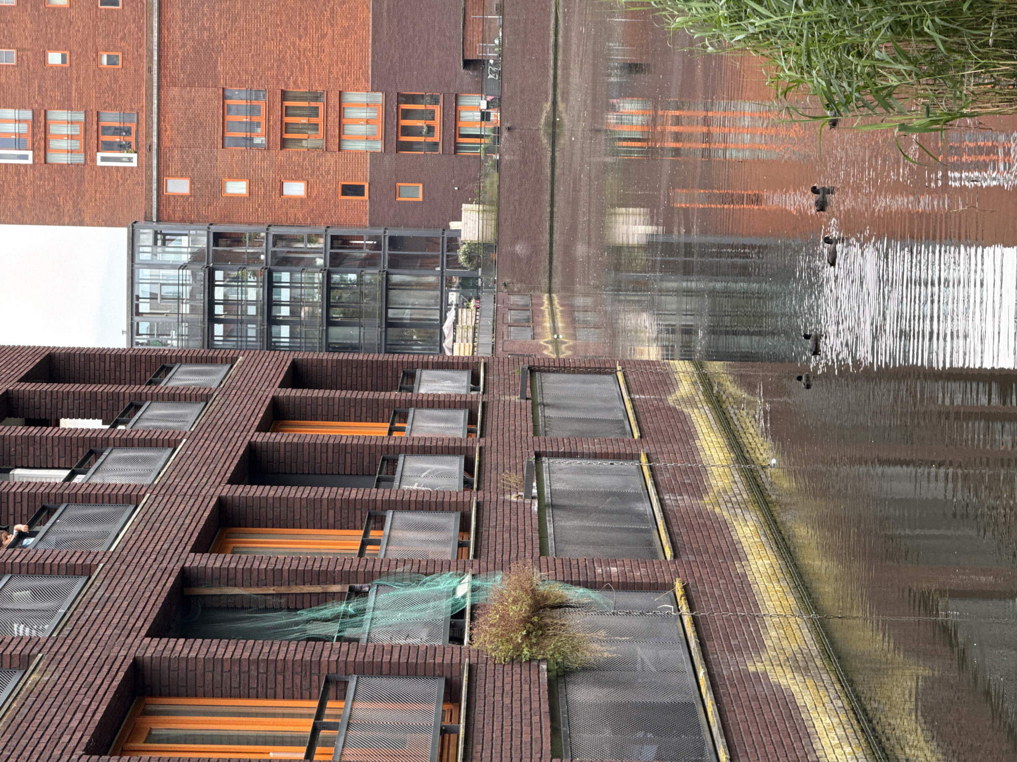 Modern Amsterdam neighborhood: canals, bikes, and bold brick architecture