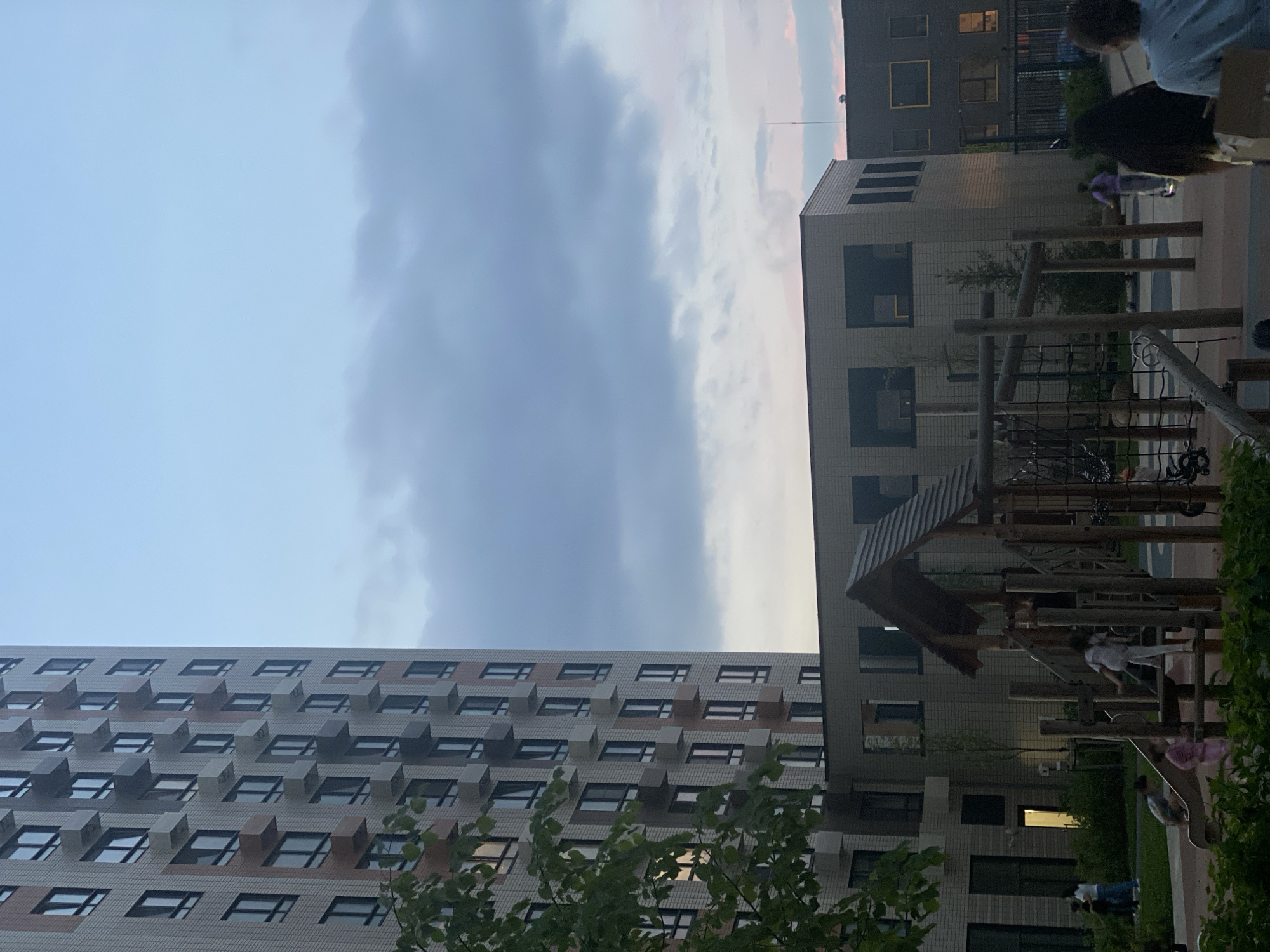 Moscow sunset over residential towers, plus a pet parrot at home