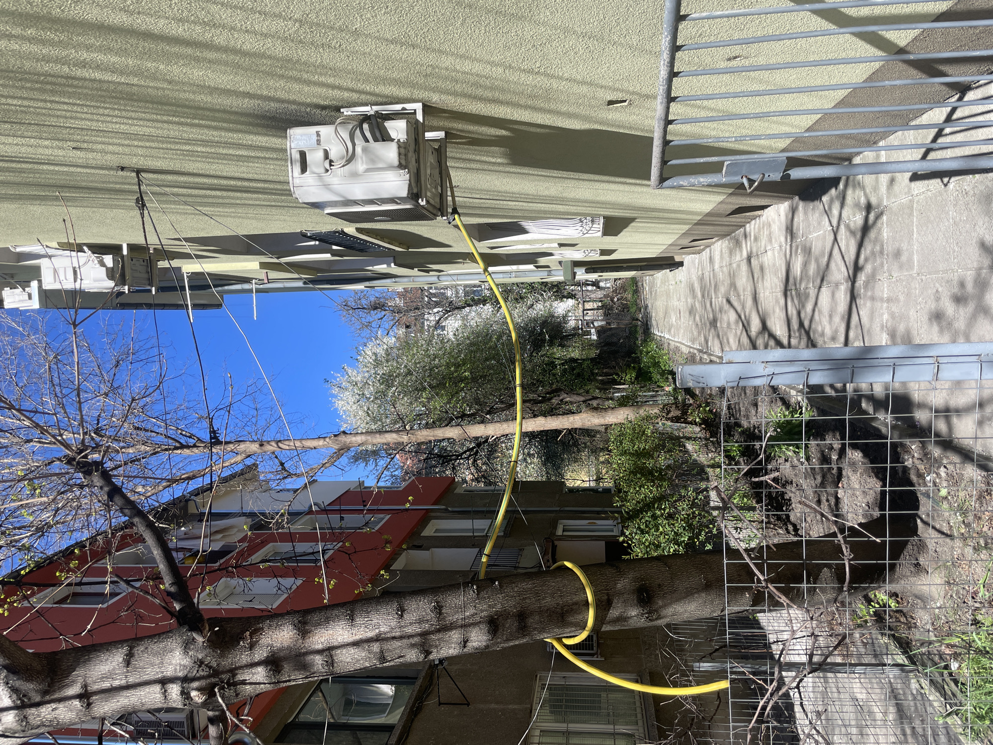 Yellow AC hose loops around tree in Sofia