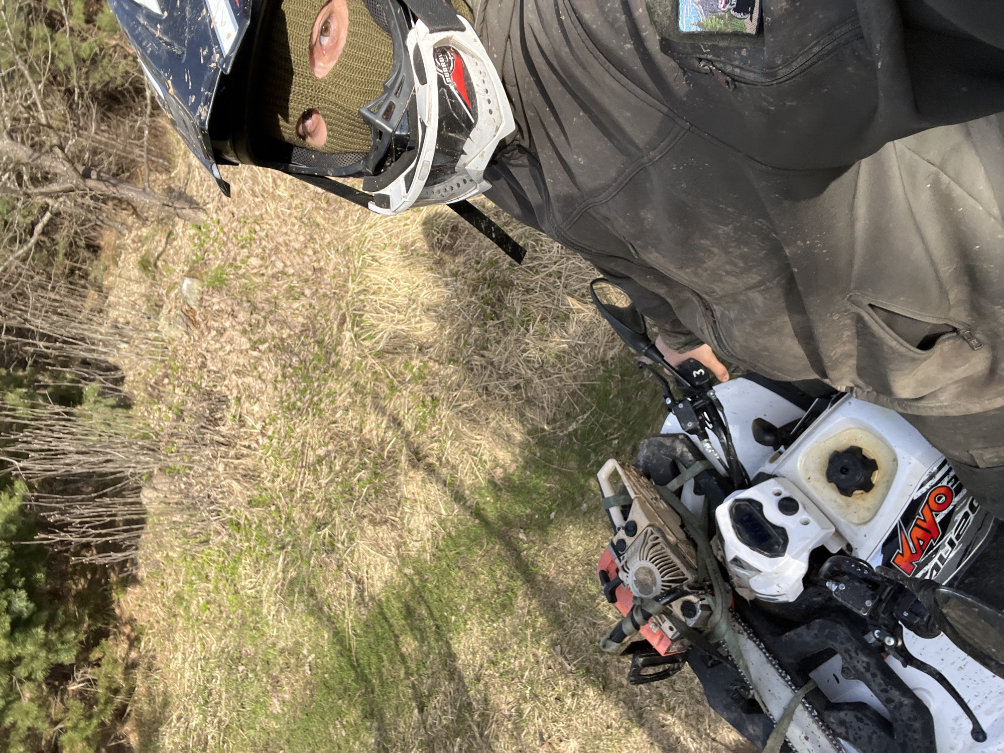 ATV riders with chainsaws traverse forest trails in Razdolye