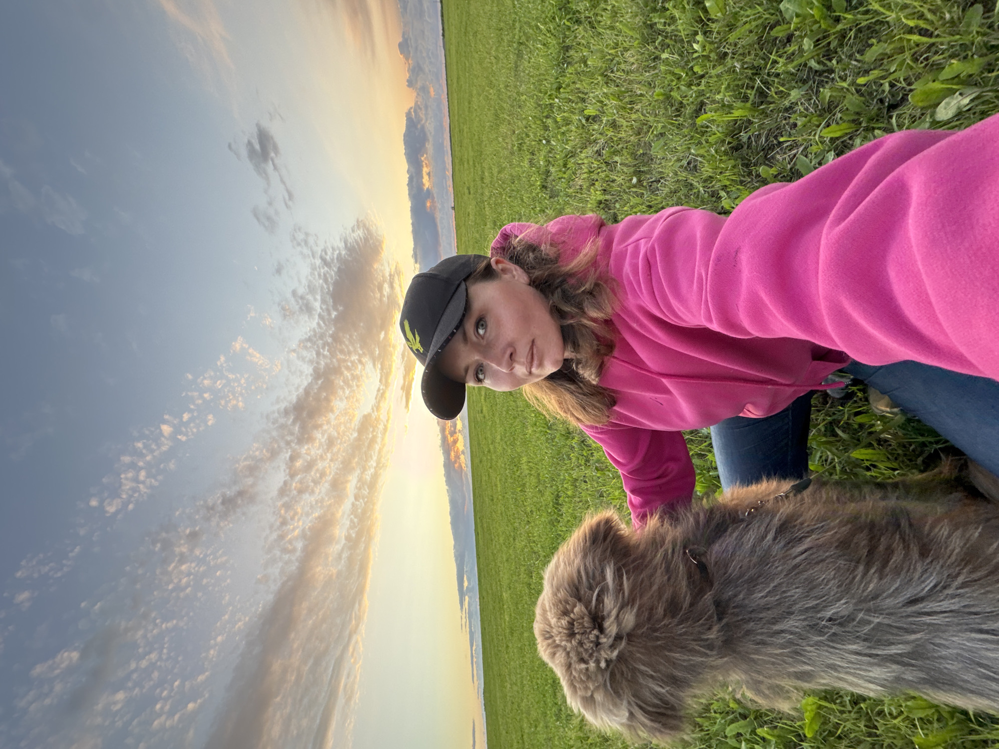 Evening dog walk across an open field in Timmolovo