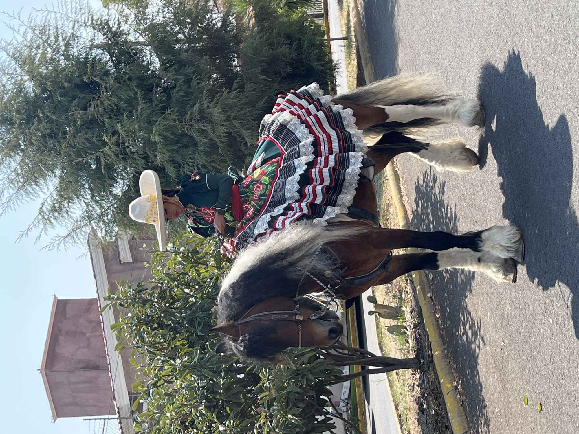 Urban area sees horseback rider, aircraft formation, military vehicles