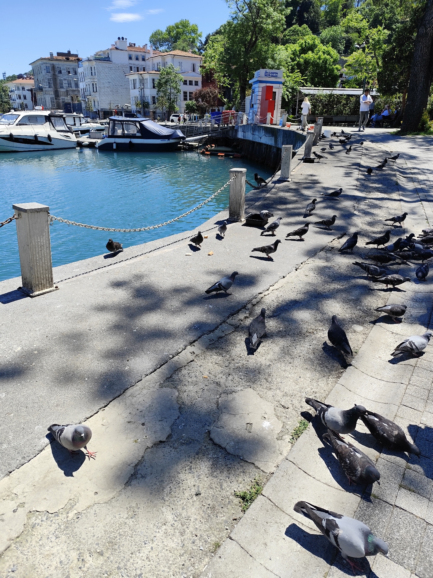 Sunny morning waterfront activity observed in Sarıyer, Turkey