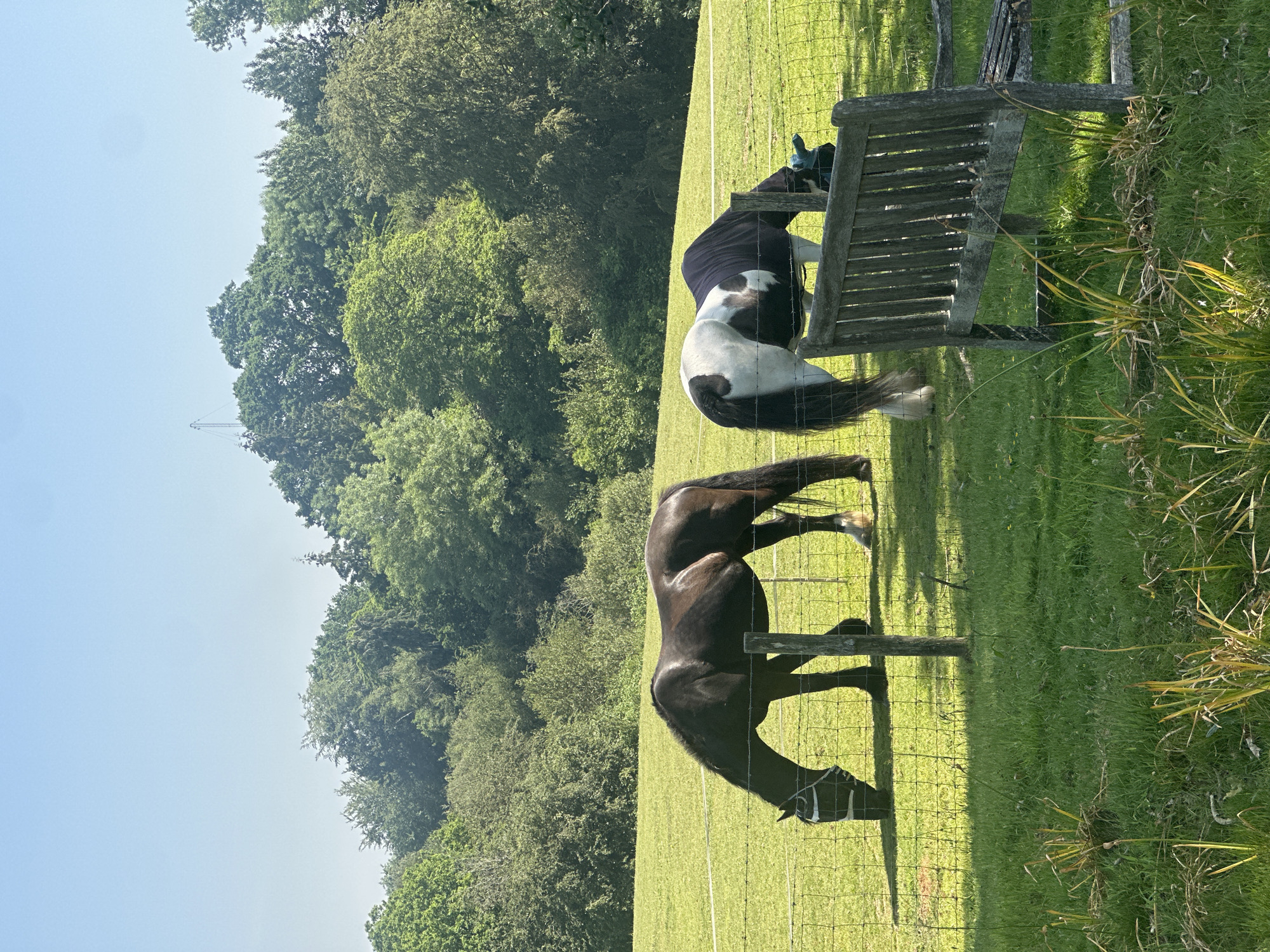 Quiet morning moments captured in Tunbridge Wells countryside