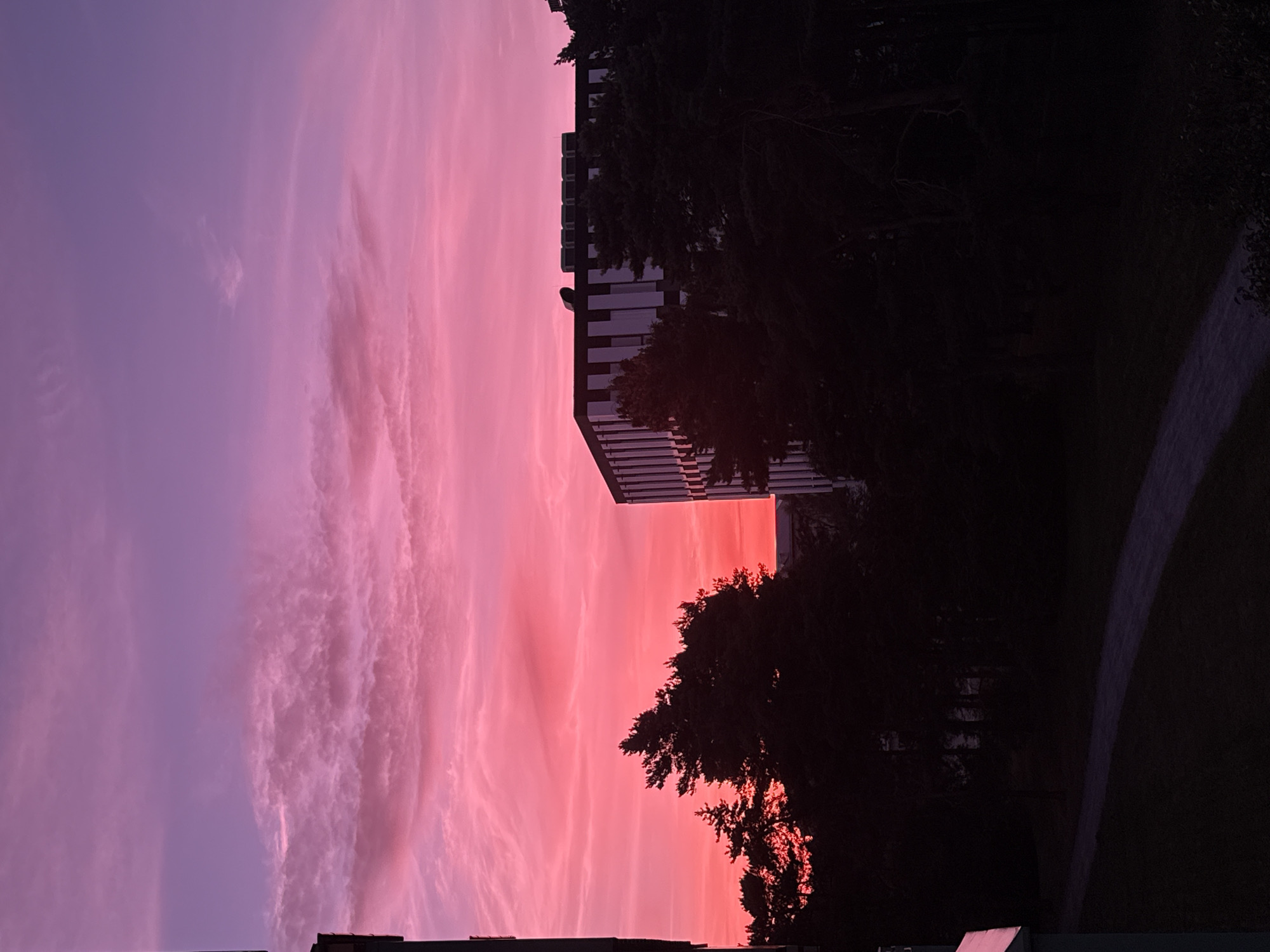 Purple and pink sunset over a park and modern building