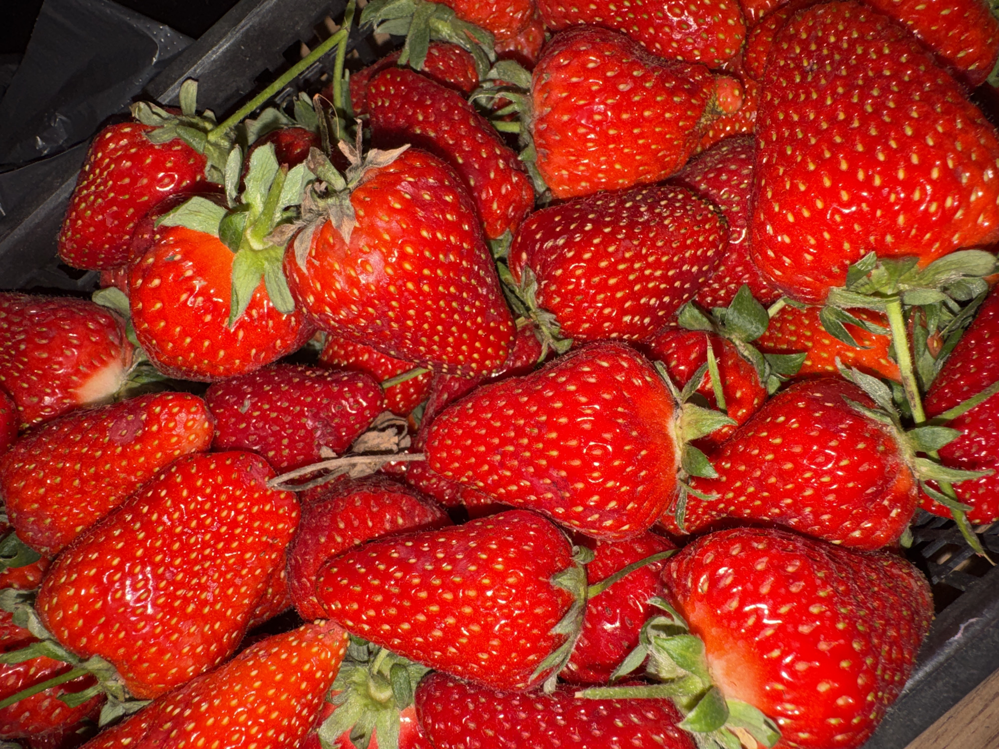 Domestic moments documented in Russian residential setting, strawberries featured