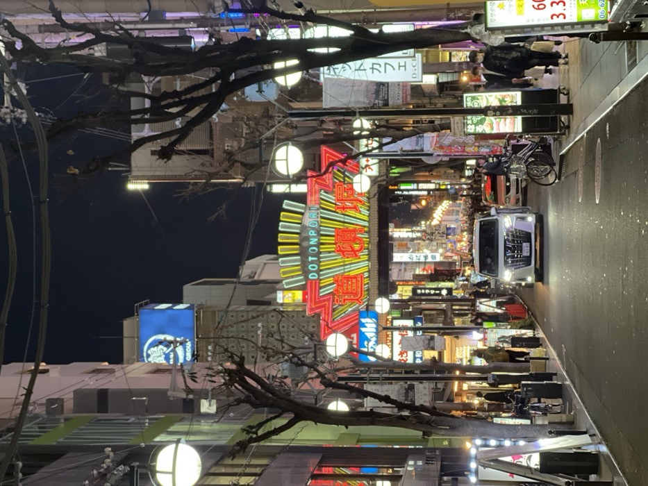 Nighttime neon scene captured in Osaka's Dotonbori district