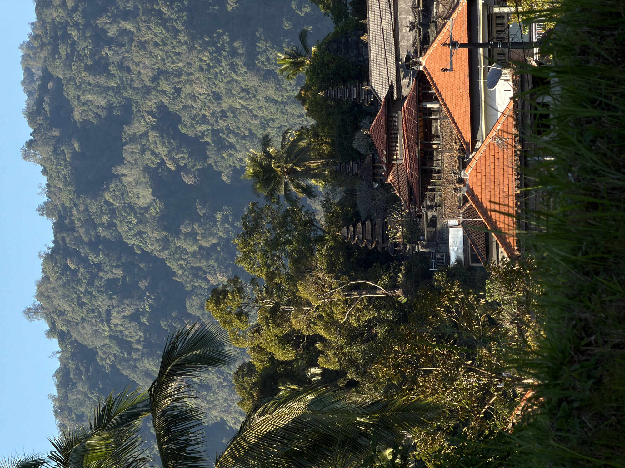 Village nestled below forested mountain in Sawan, Indonesia
