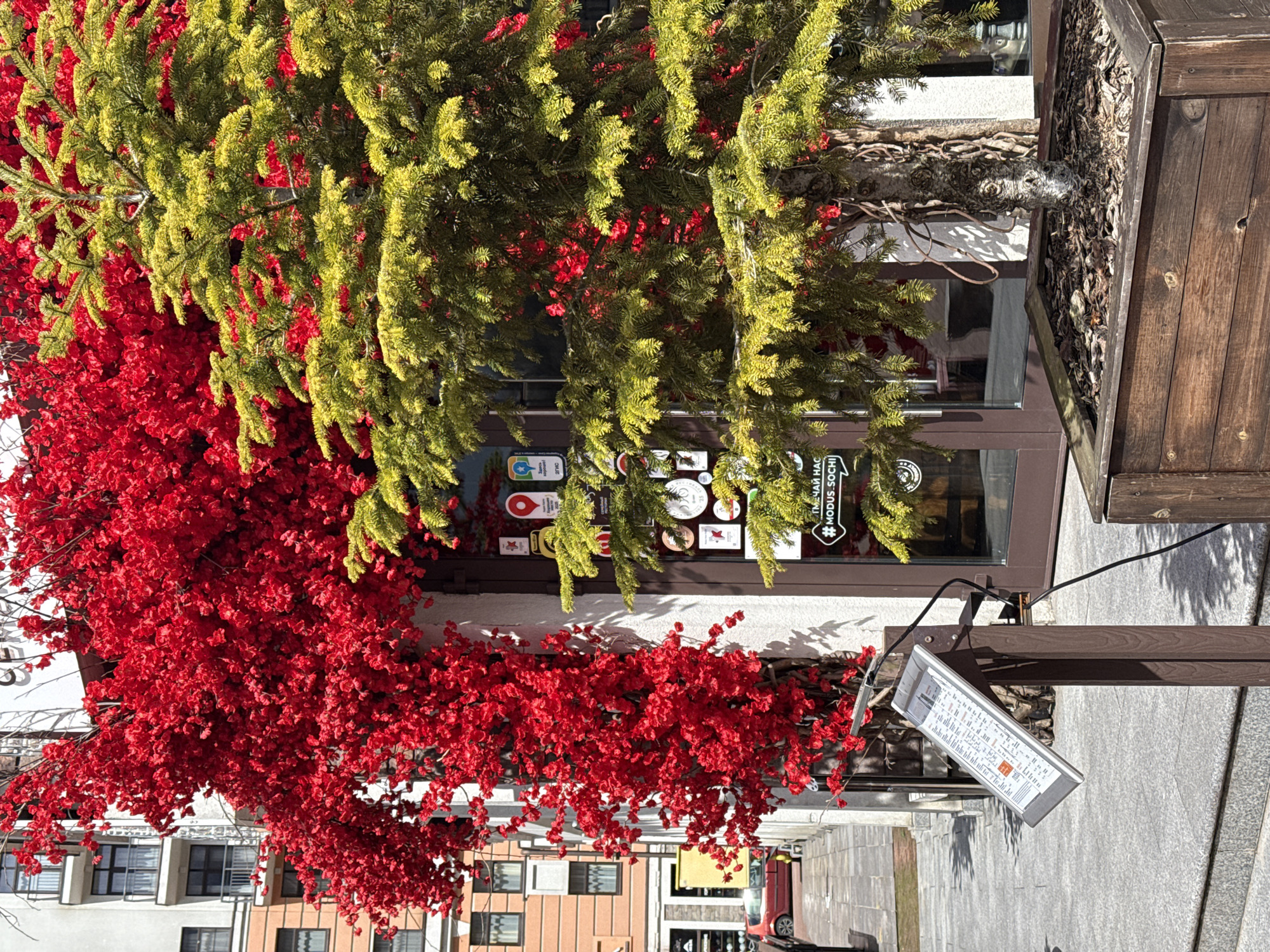 Spring street scenes documented in Estosadok, Russia