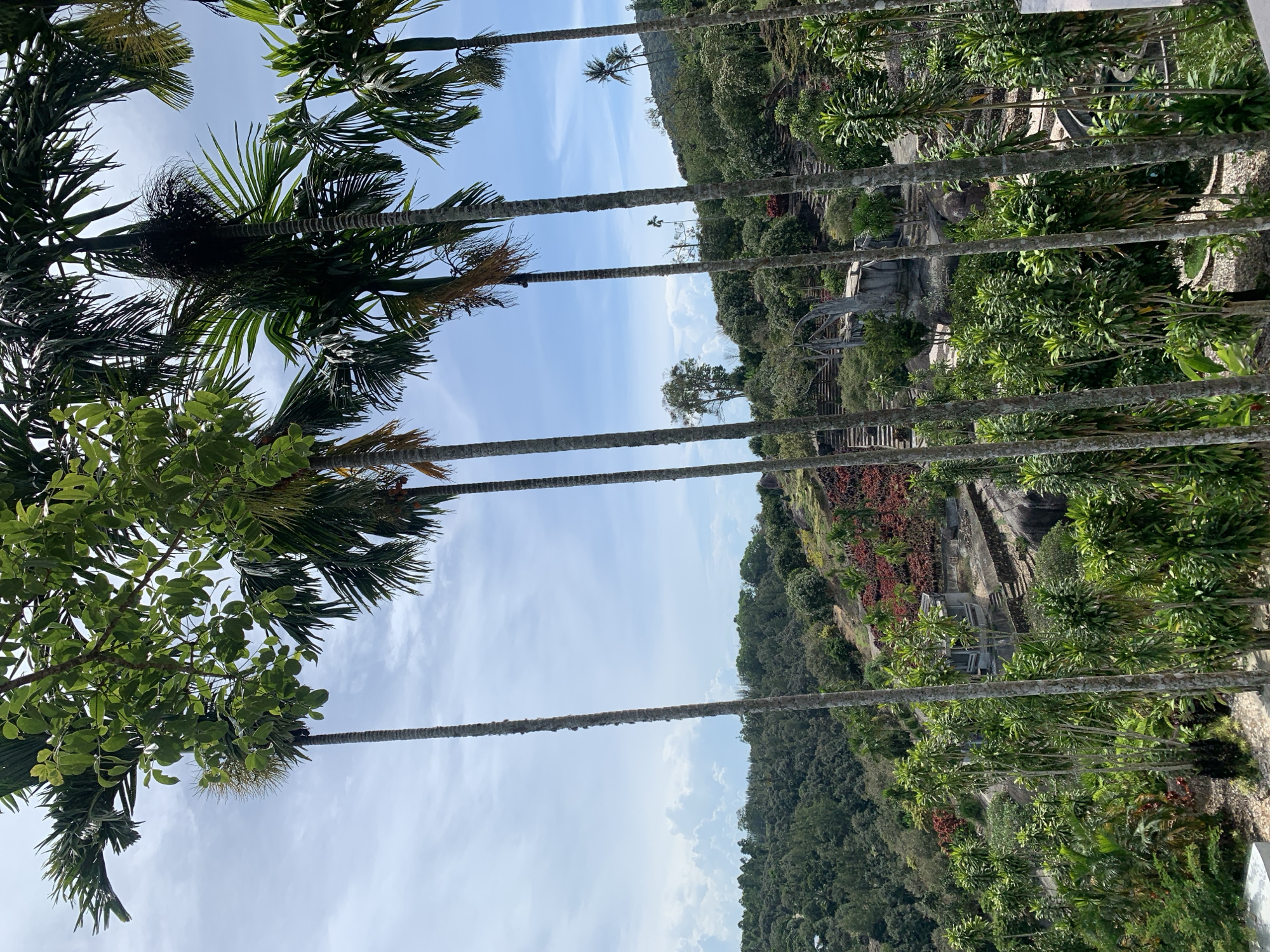 Tourist captures Ko Samui landmarks in early morning documentation