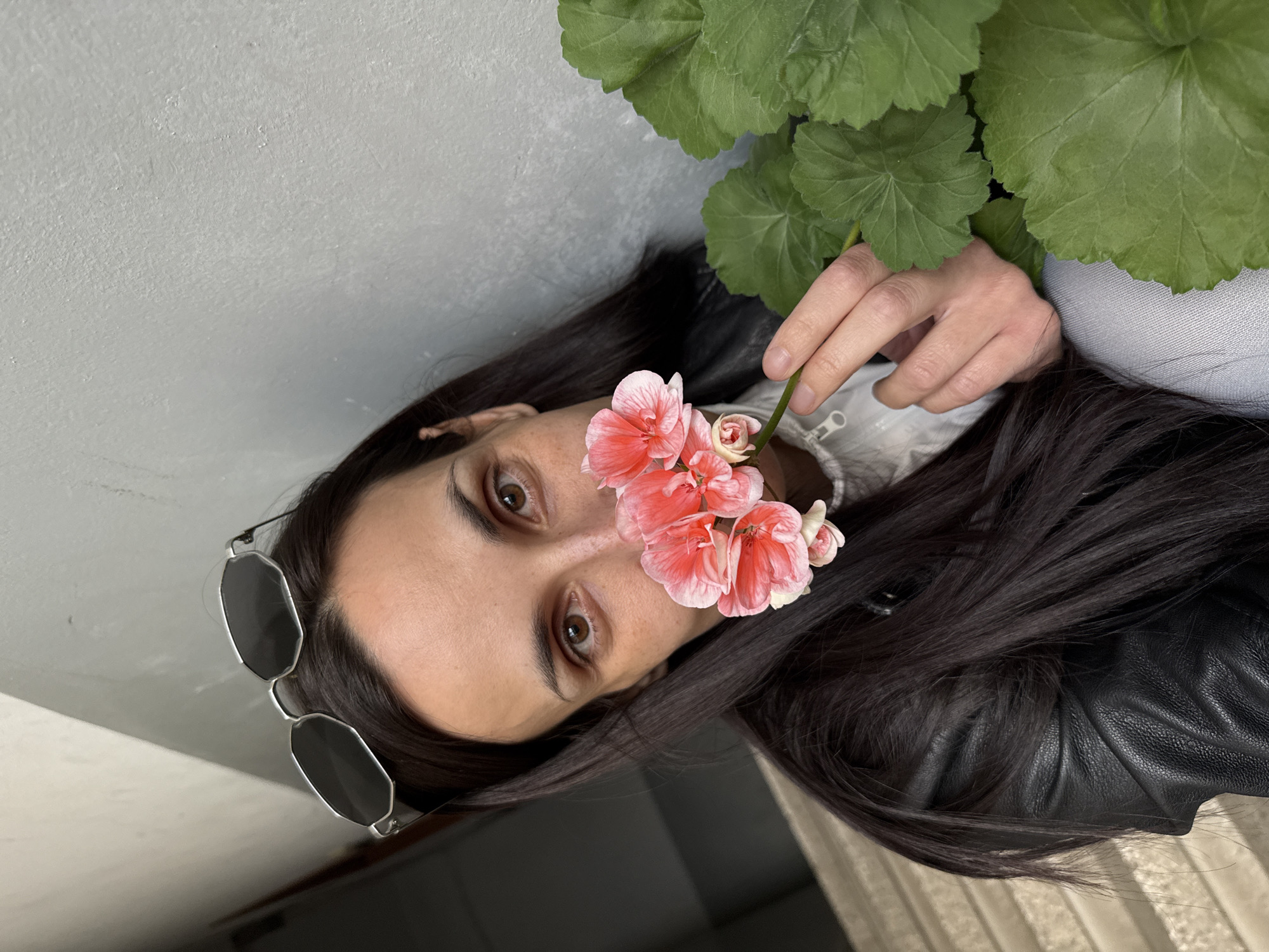 Daily life snapshots captured across Pleven, Bulgaria