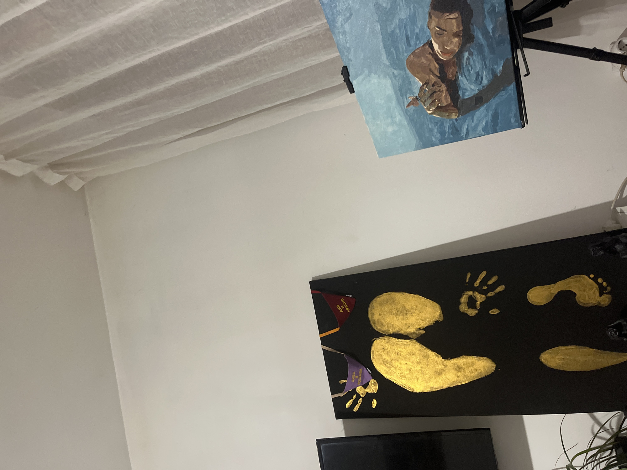 Art installation featuring swimming painting documented in Bulgarian interior