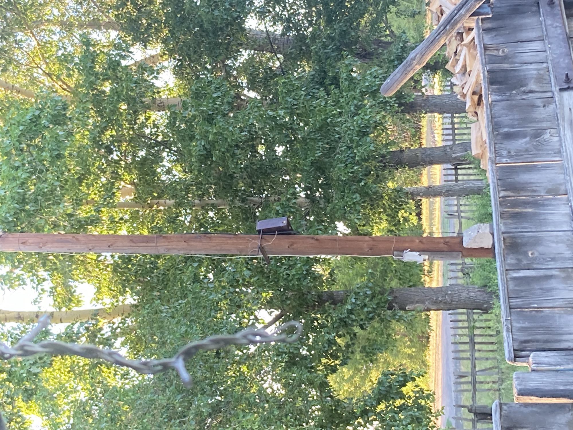 Quiet afternoon in a Russian village backyard