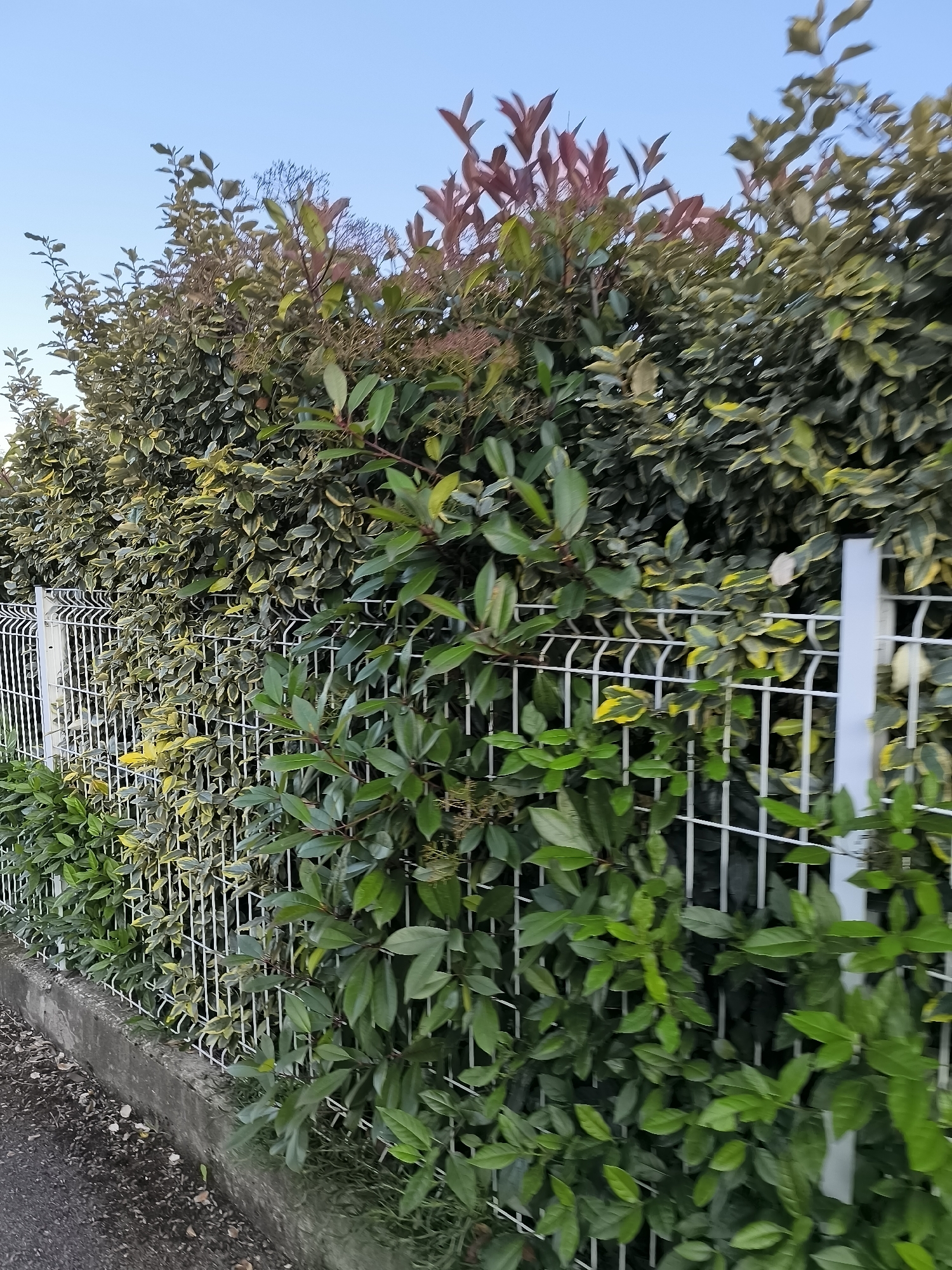 Evening walk documented through residential Pélussin, France neighborhoods