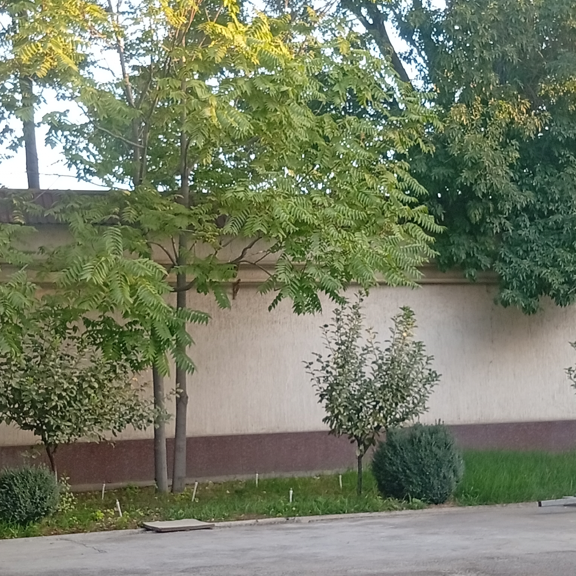 Tashkent, Uzbekistan