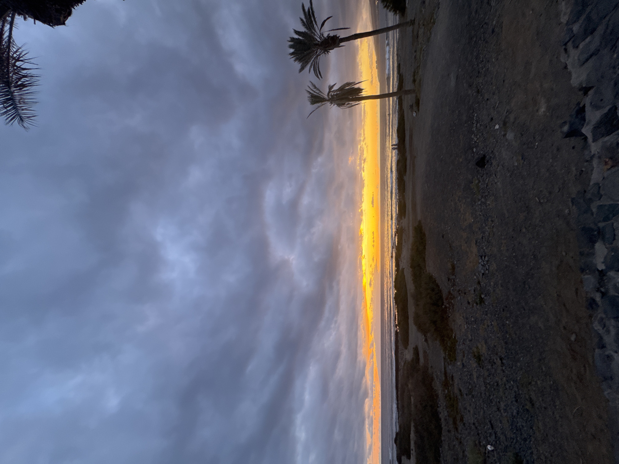 Tenerife sunset from the beach, palm trees and surf