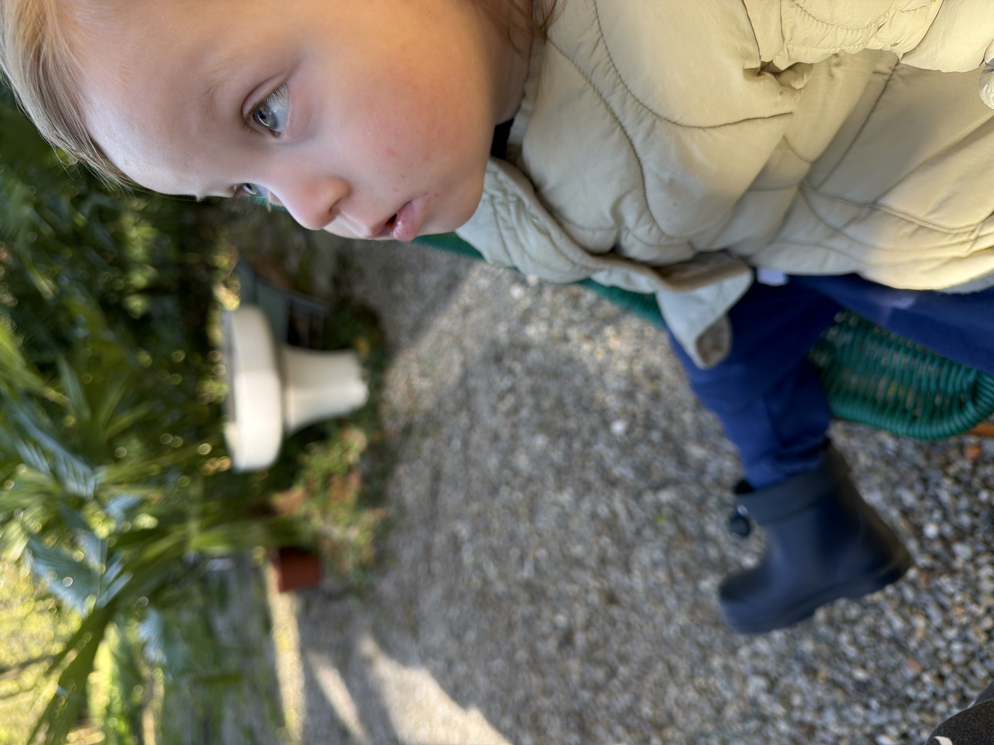 Toddler sits in outdoor chair in Erba garden