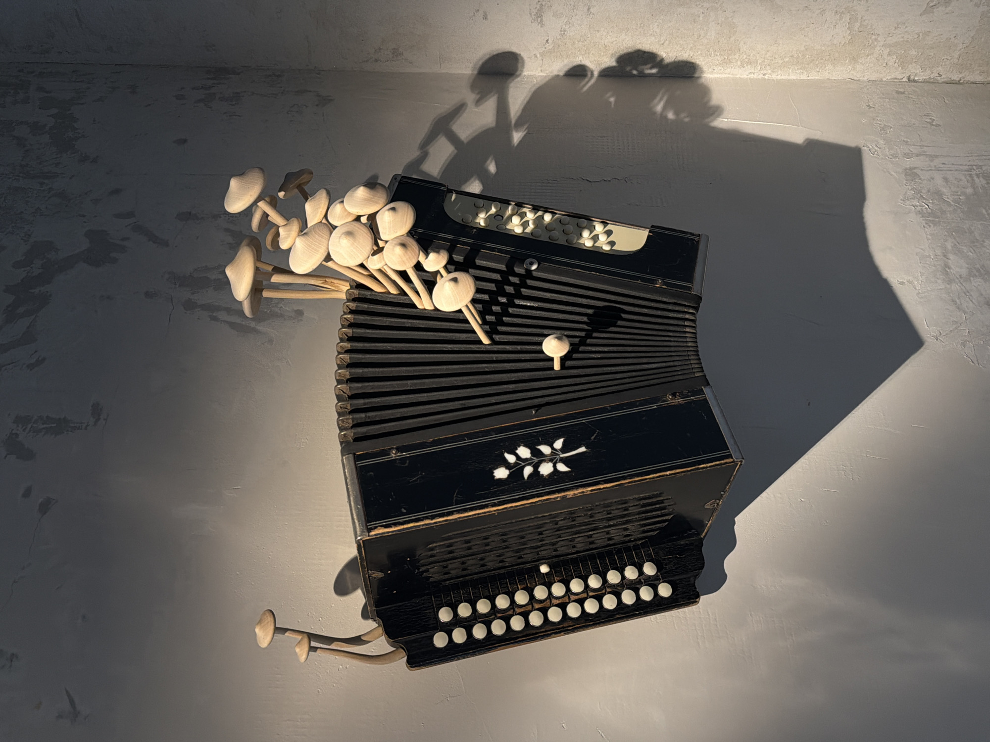 Accordion surrounded by mushroom objects photographed in Moscow
