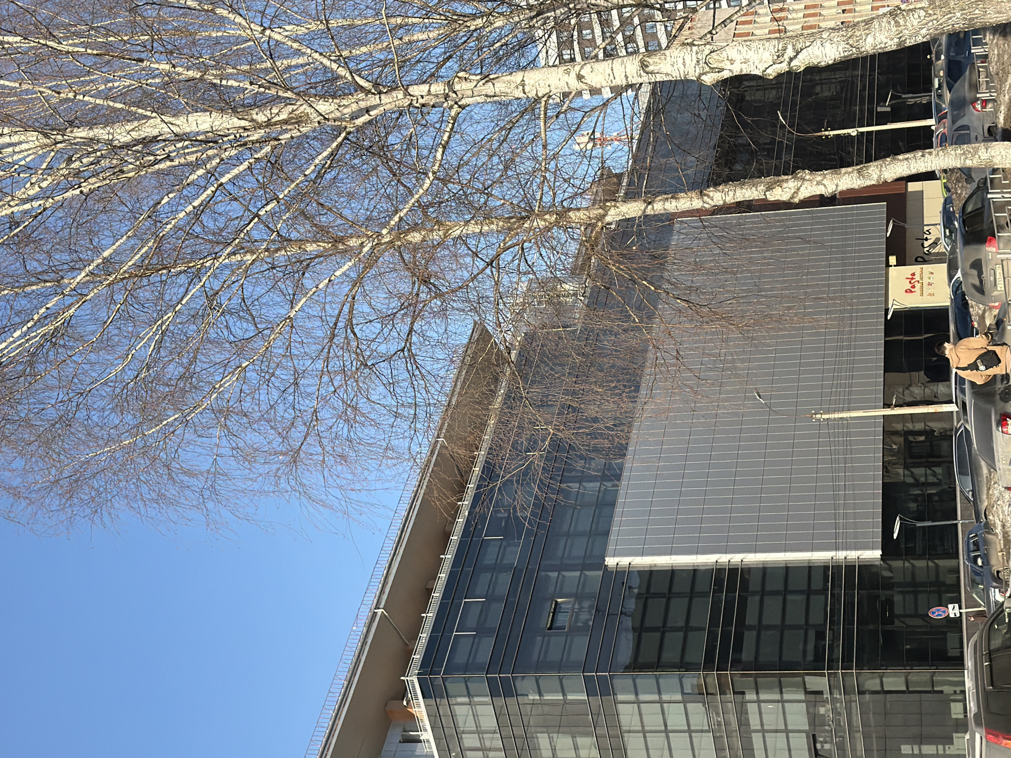 Modern glass building observed through bare branches in Izhevsk