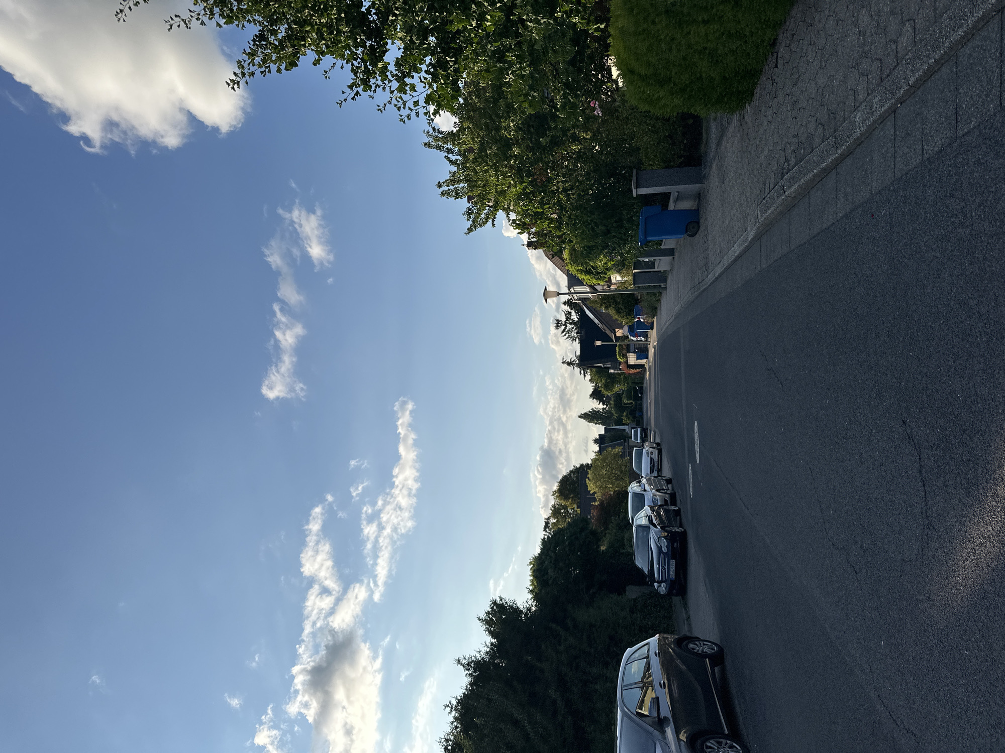Krefeld residential streets and garden roses on a summer afternoon