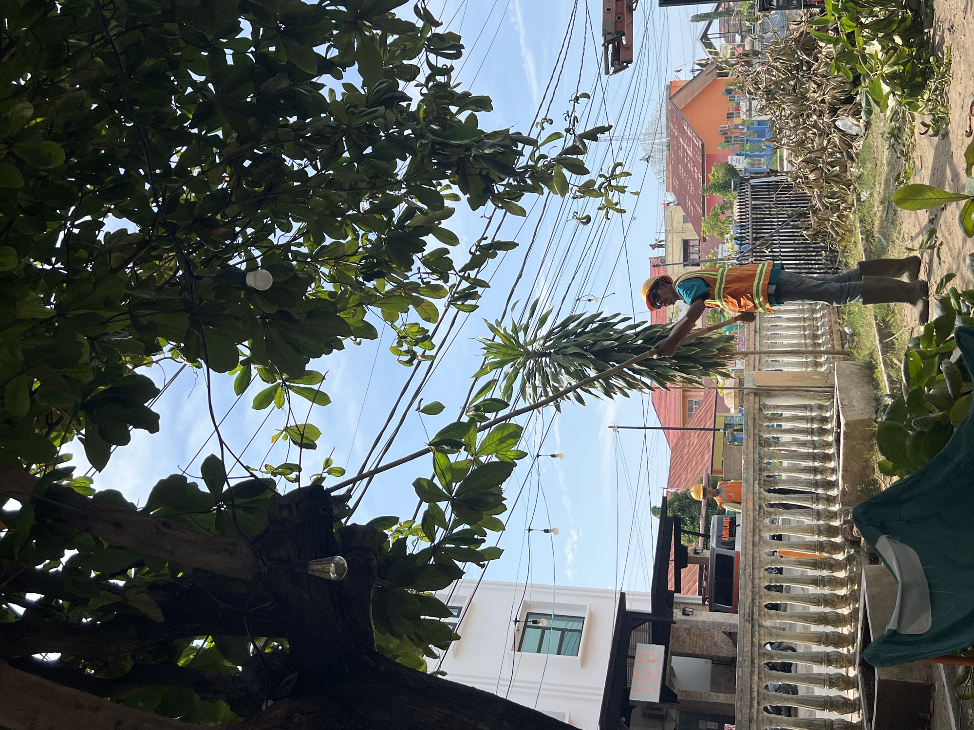 Tree pruning crew at work outside Lhokseumawe emergency facility