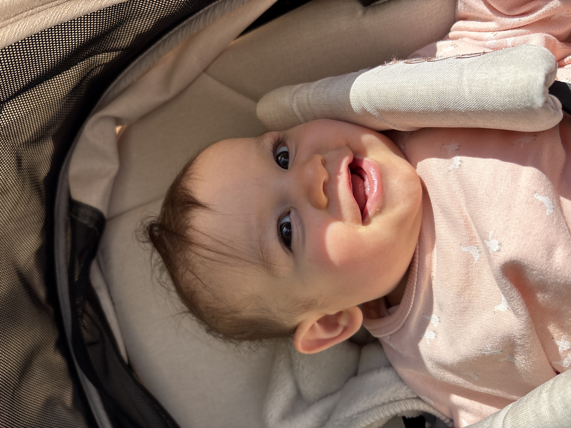 Afternoon baby stroll documented through Veghel's canals and squares