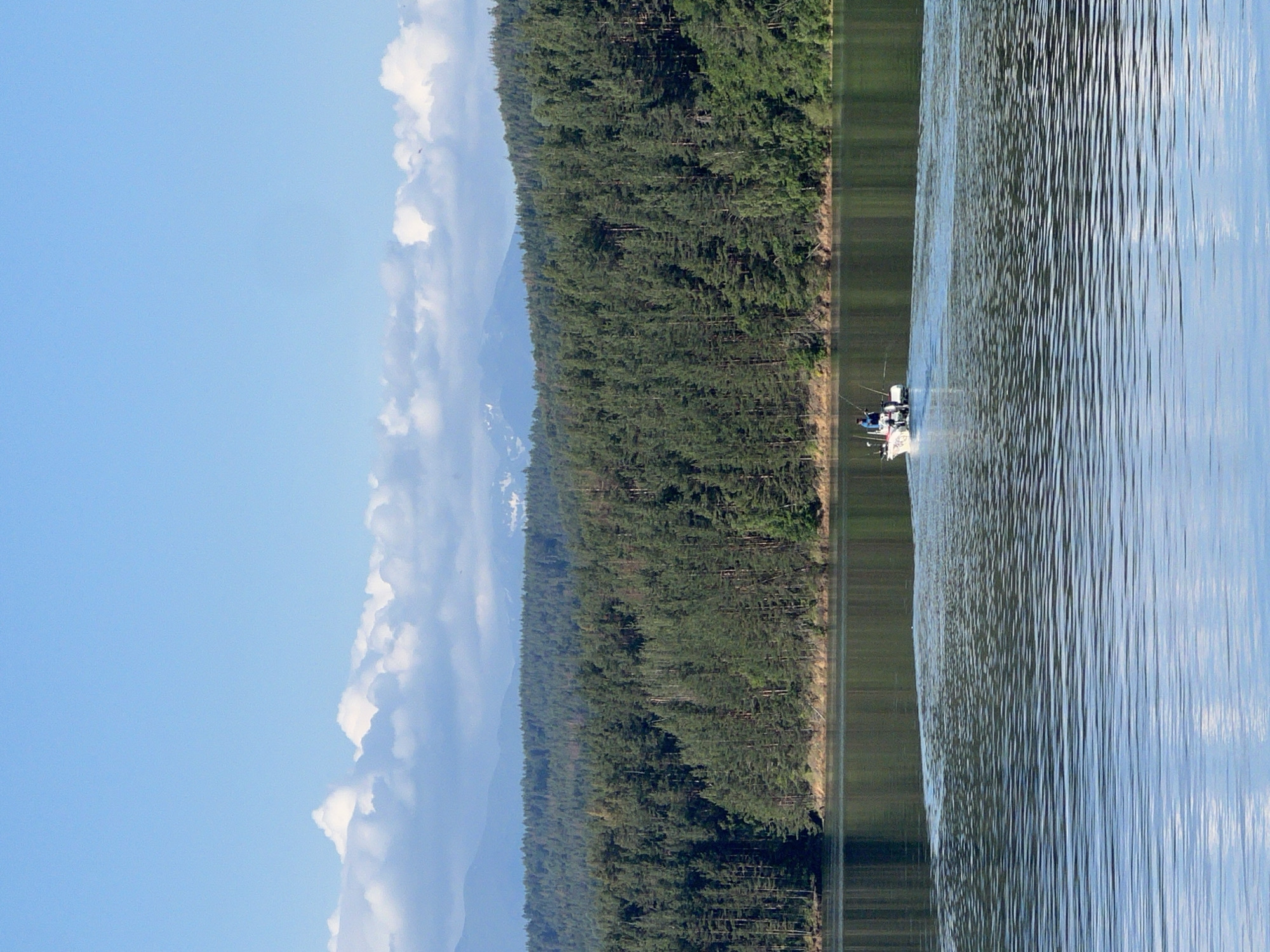 Quiet morning on Lake Pancharevo — boats out, lines in the water